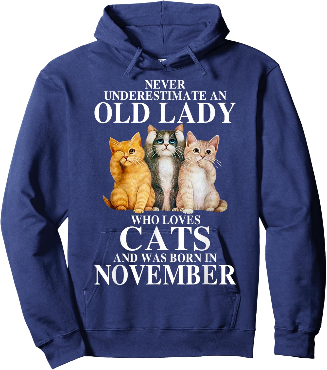 Never underestimate an old lady who loves cats born NOVEMBER Hoodie - Hoodie | Navy
