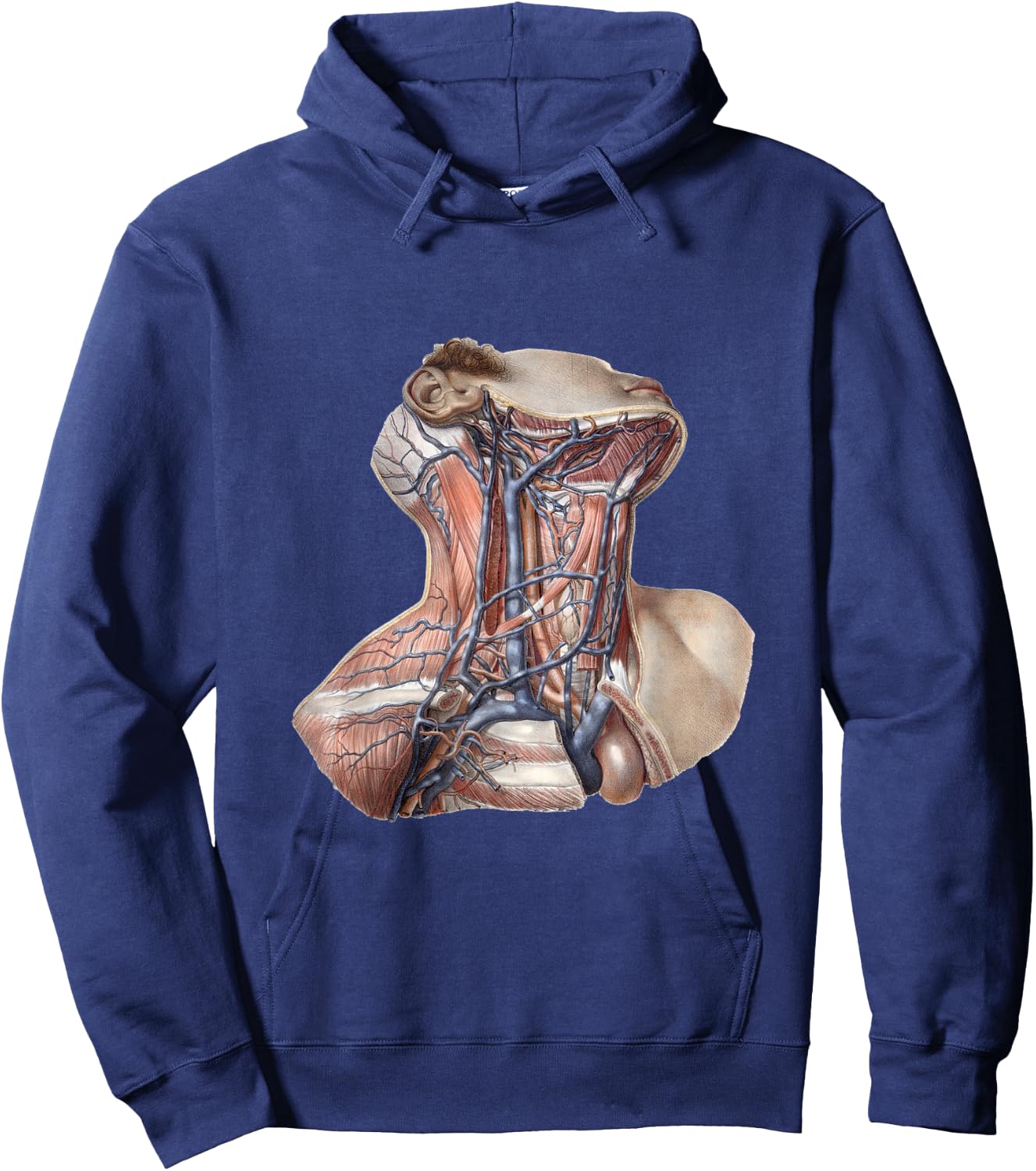 Vintage Human Anatomy Neck and Throat with Veins Hoodie - Hoodie | Navy