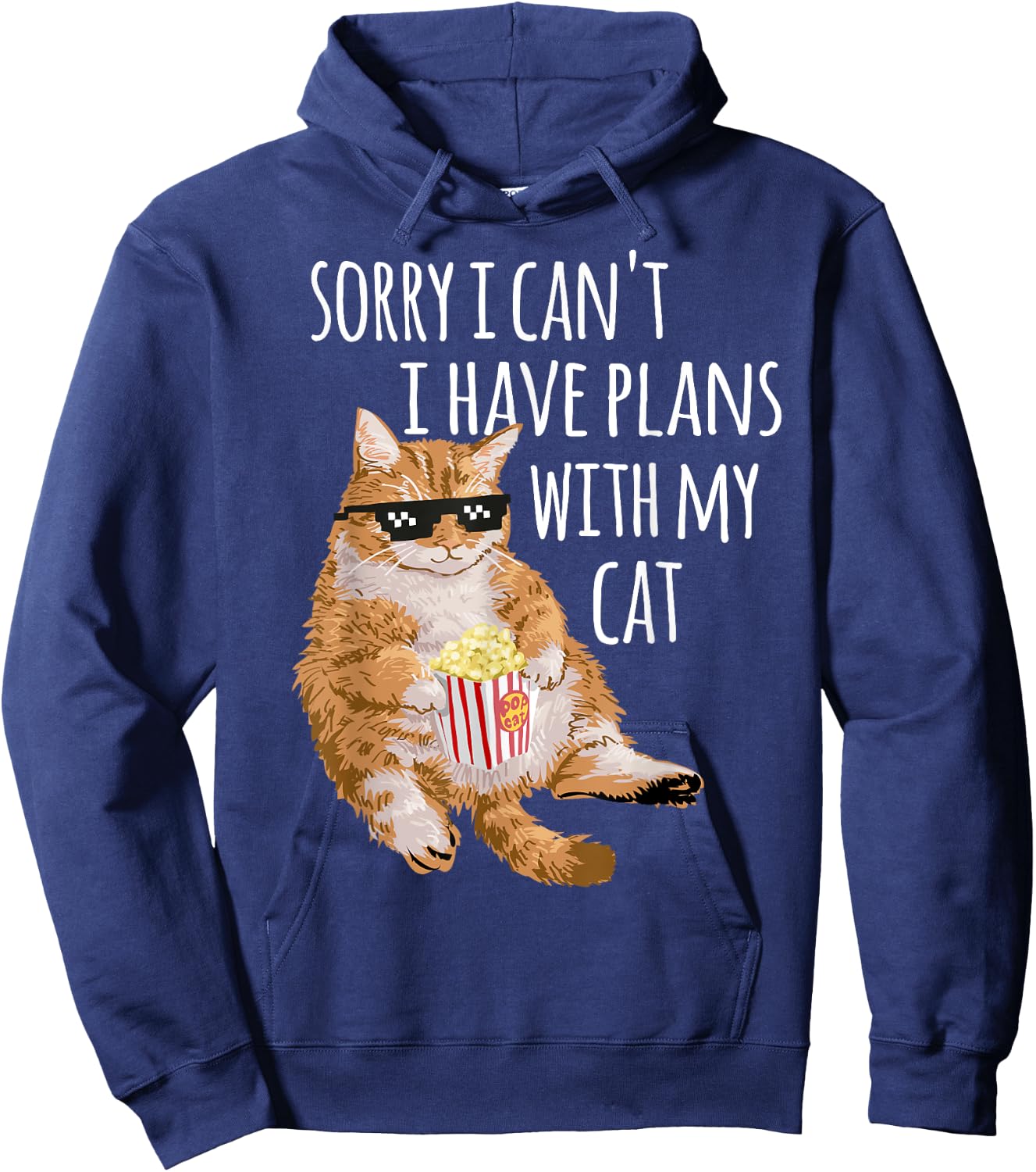 Sorry I Can't I Have Plans With My Cat Funny Cat Lover Gift Hoodie - Hoodie | Navy