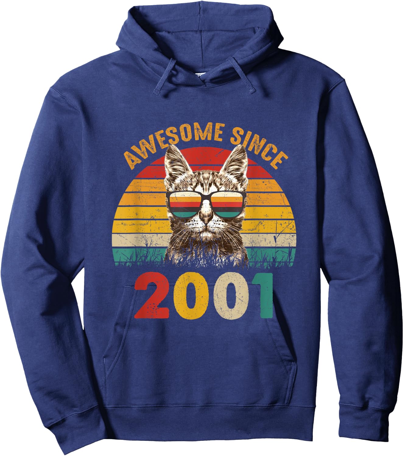 24th Birthday Vintage Cat Lover Gift Awesome Since 2001 Women Hoodie - Hoodie | Navy