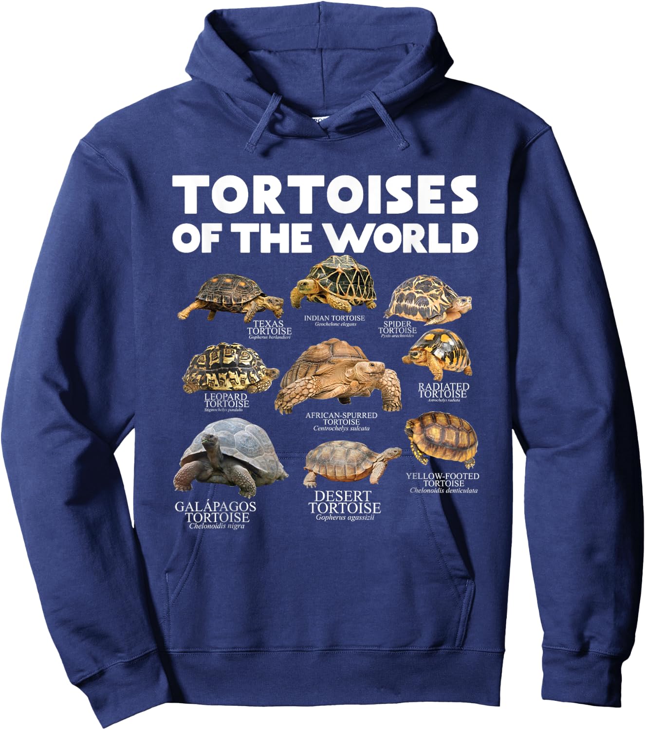 Tortoises Of The World Turtles Lover Save The Tortoises Hoodie - Hoodie | Navy