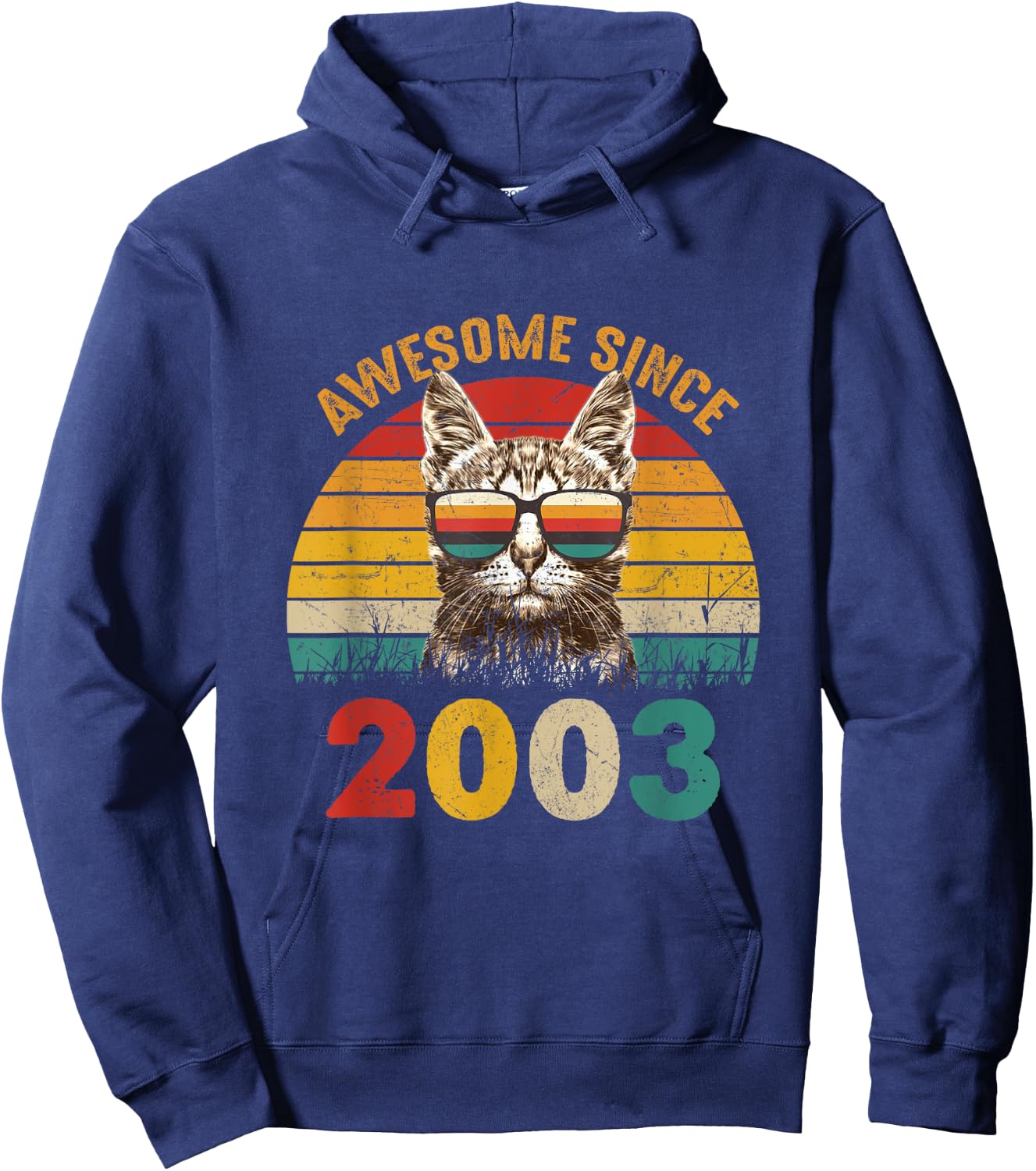 22nd Birthday Party 22 years old Cat Awesome Since 2003 Hoodie - Hoodie | Navy