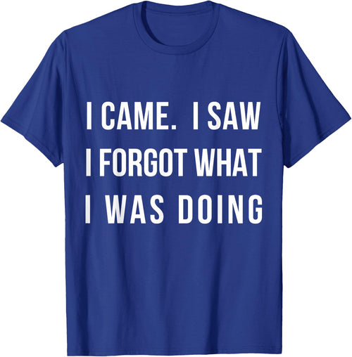 I Came I Saw I Forgot What I was Doing Sarcastic Small
