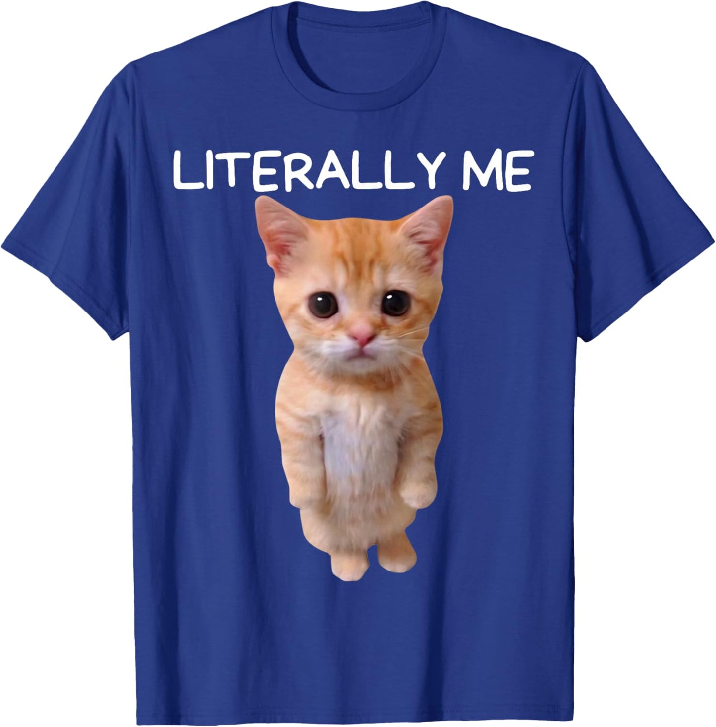 Literally Me Cat Meme Funny Memes Internet Memes Gen Z Joke T-Shirt - T-Shirt | Royal