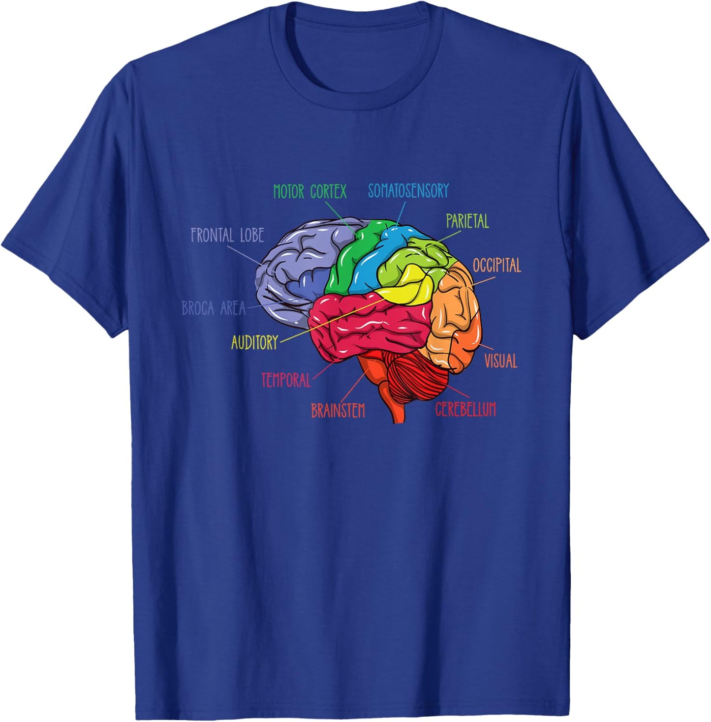 Anatomy Of The Brain Neurologist Gift T-Shirt - T-Shirt | Royal
