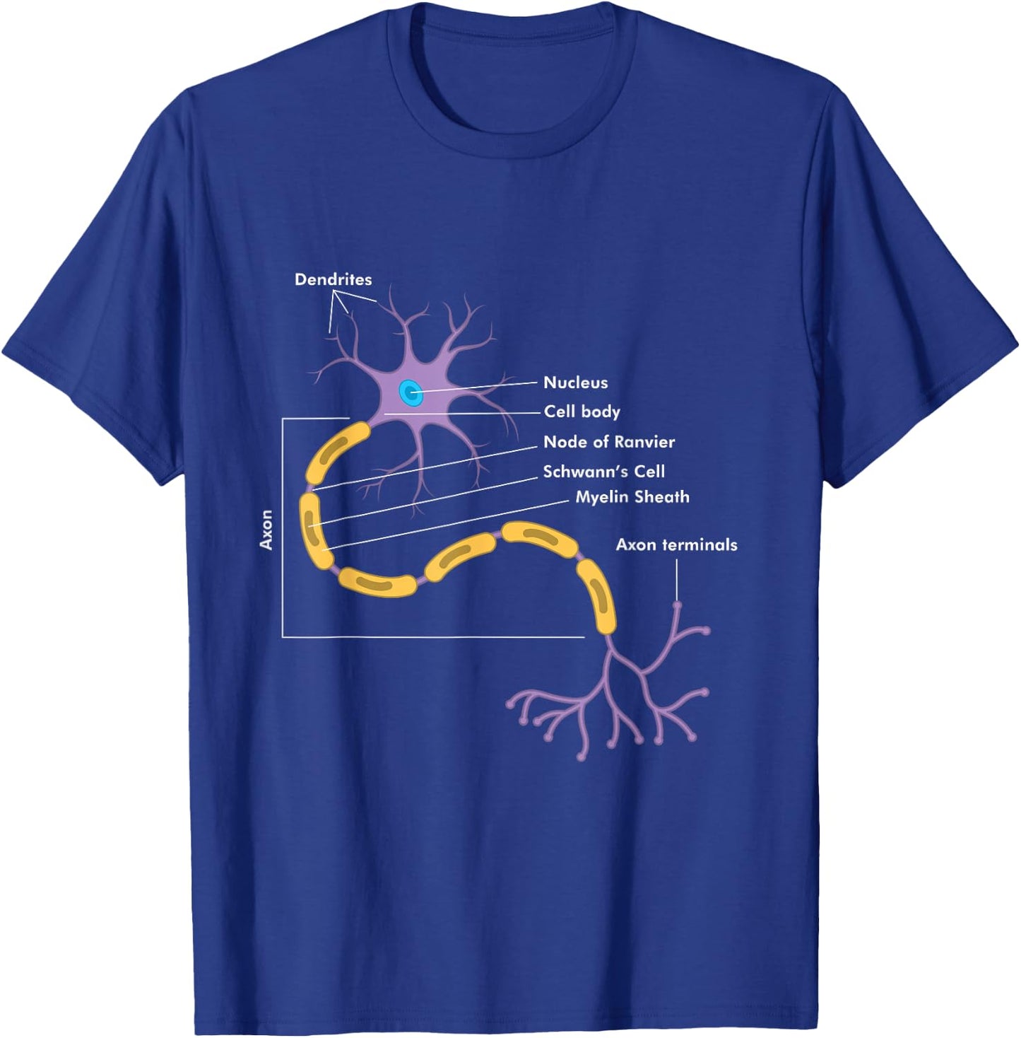 Anatomy of Neuron Neurologist Gift T-Shirt - T-Shirt | Royal