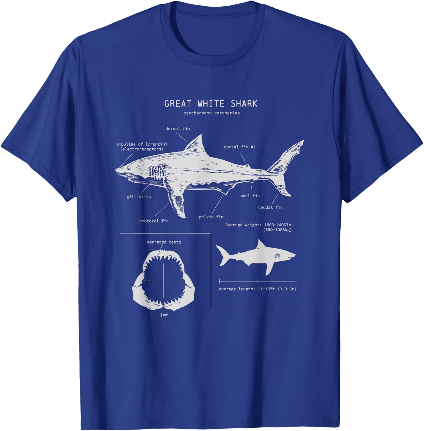 Great White Shark Anatomy , Marine Biologist T-Shirt - T-Shirt | Royal