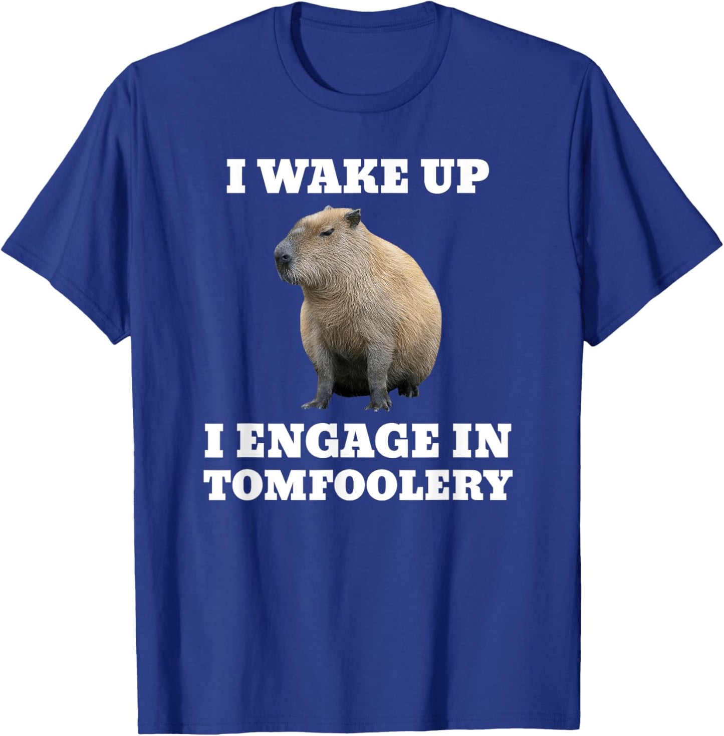 I Wake Up I Engage In Tomfoolery Meme Capybara T-Shirt - T-Shirt | Royal