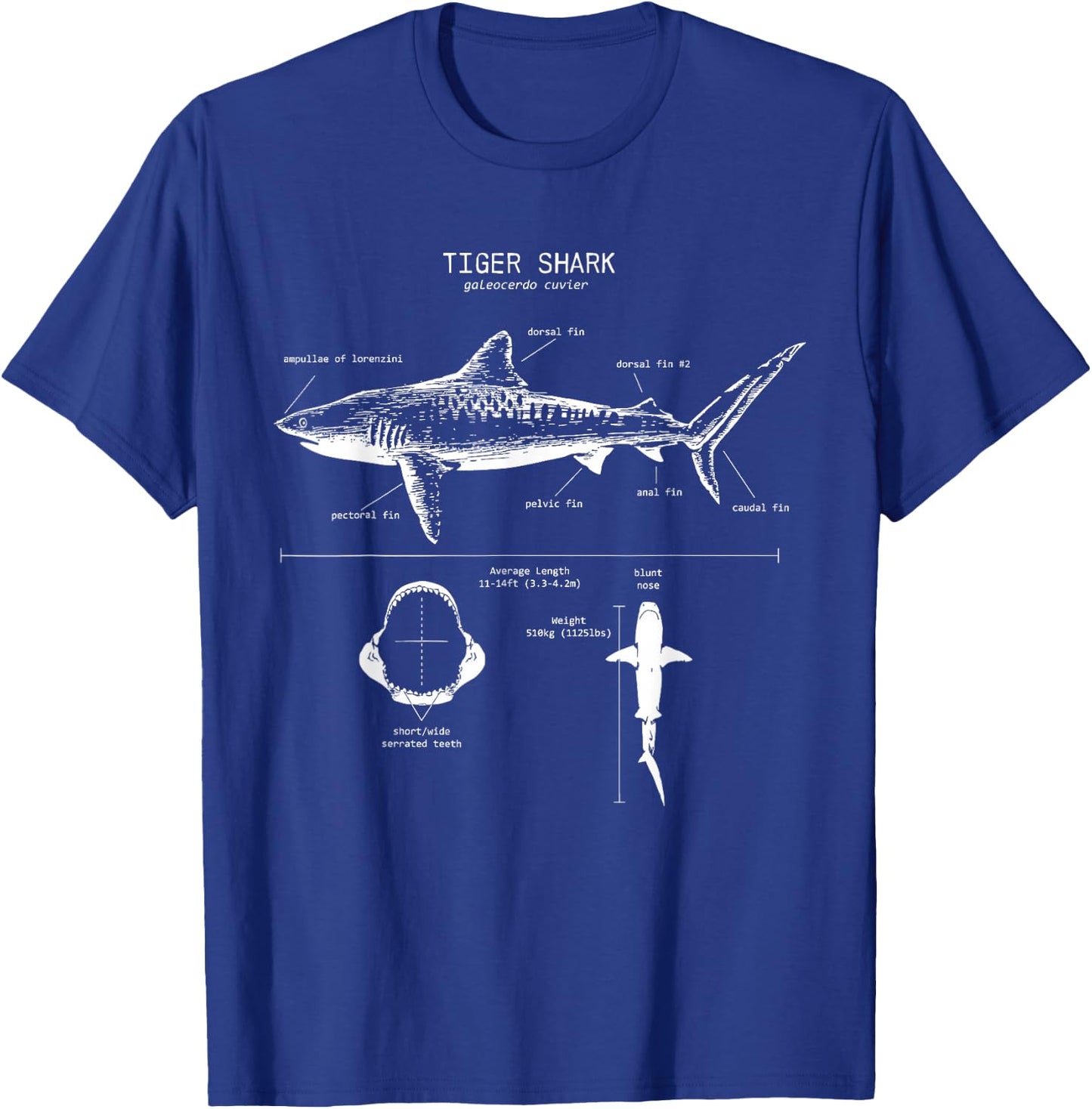 Tiger Shark Anatomy | Marine Biologist T-Shirt - T-Shirt | Royal