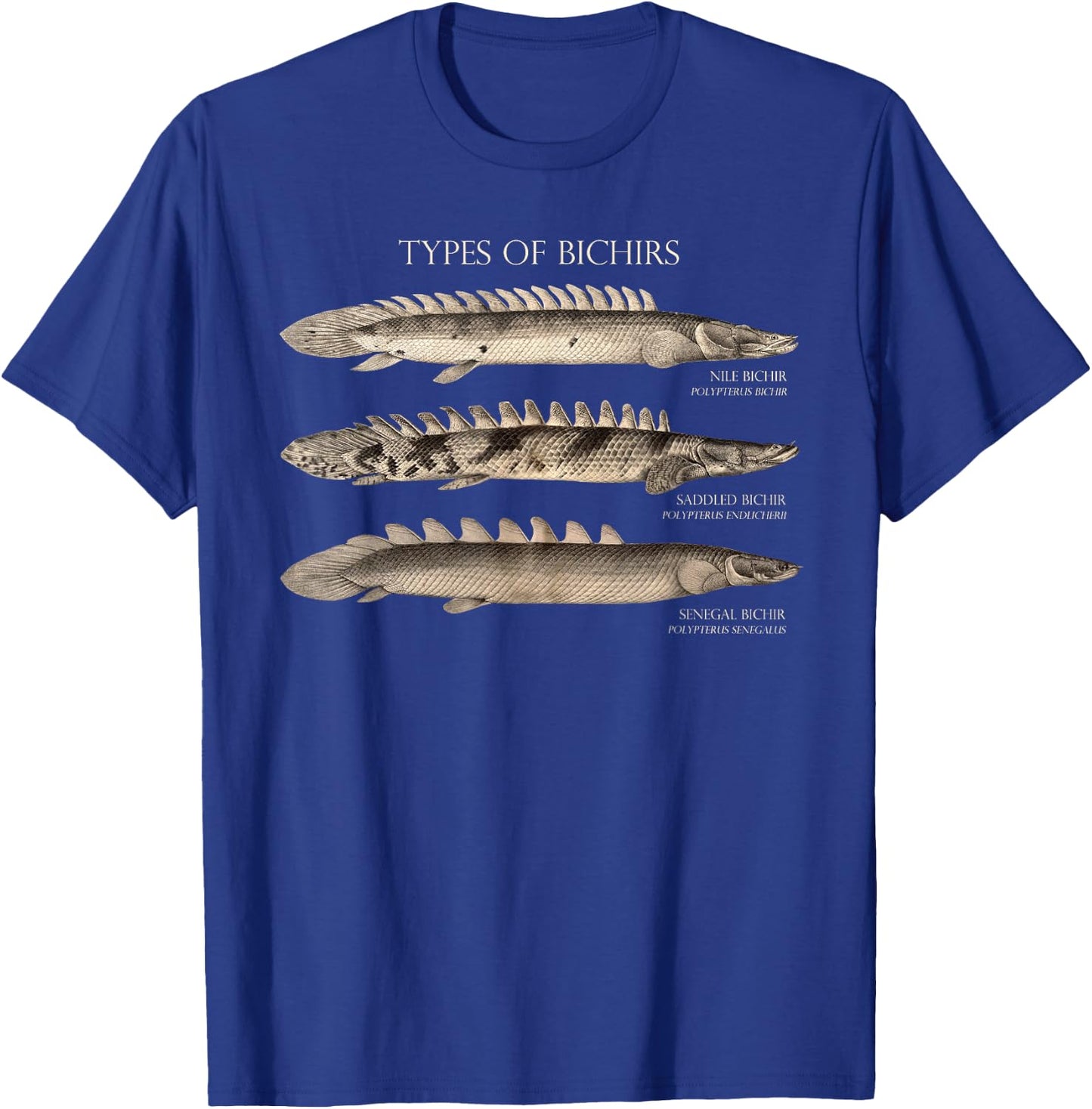 Bichir Types Aquarium Fish Monster Fish Keeper Aquarist T-Shirt - T-Shirt | Royal