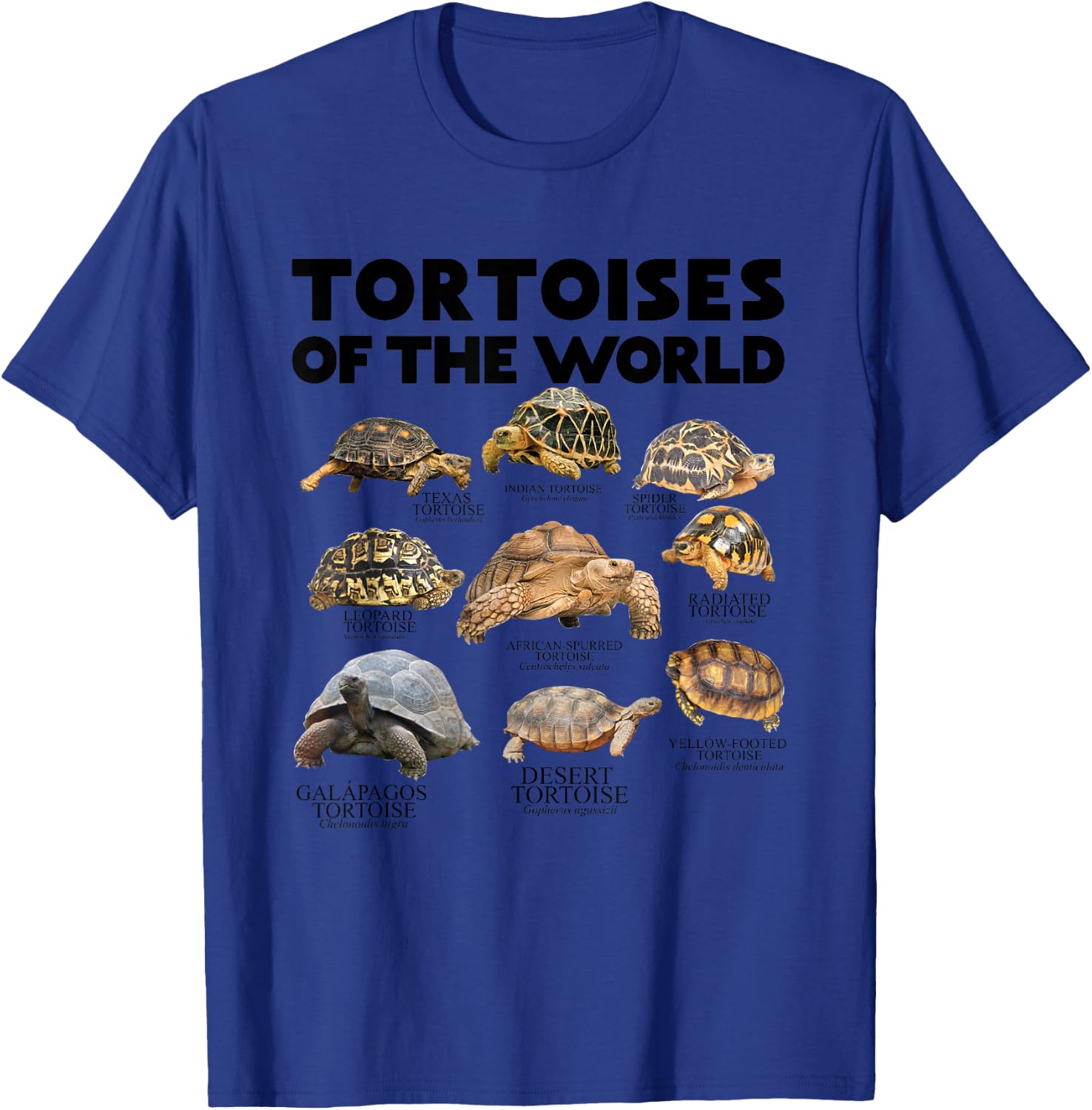 Tortoises of The World Turtles Lover Save The Tortoises T-Shirt - T-Shirt | Royal