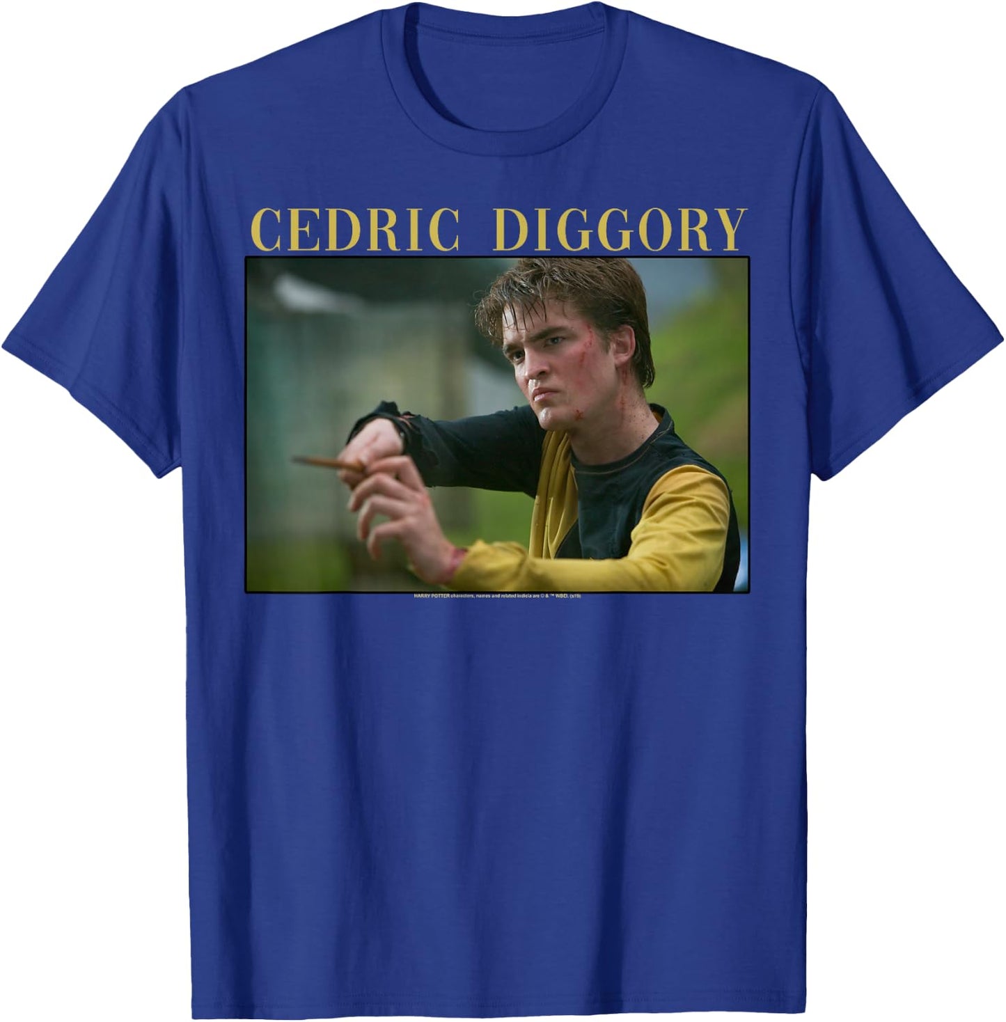 Harry Potter Official Black Adult - Short Sleeve - Small - Crew Collar - Letter Print - Modern Style - Casual Wear - All Seasons - Portrait Theme T-Shirt - T-Shirt | Royal