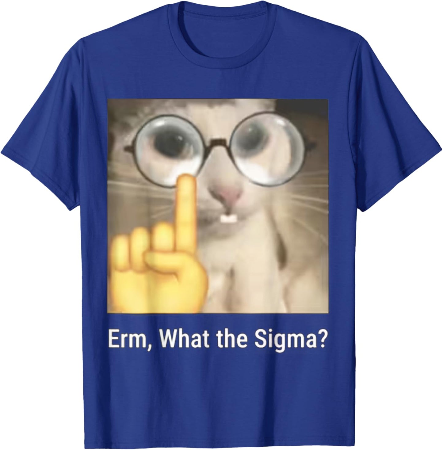 Erm, What The Sigma? Cat Meme Funny T-Shirt - T-Shirt | Royal