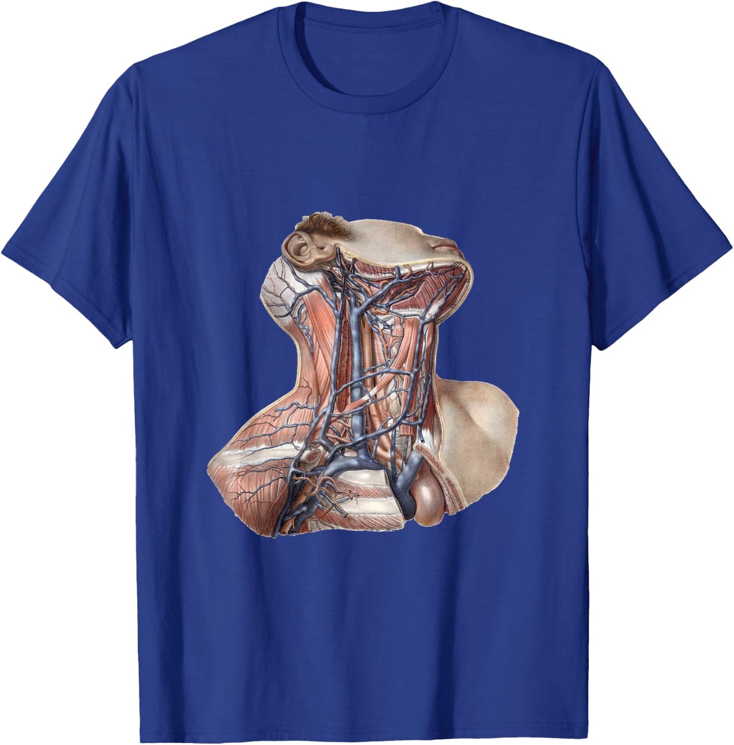 Vintage Human Anatomy Neck and Throat with Veins T-Shirt - T-Shirt | Royal