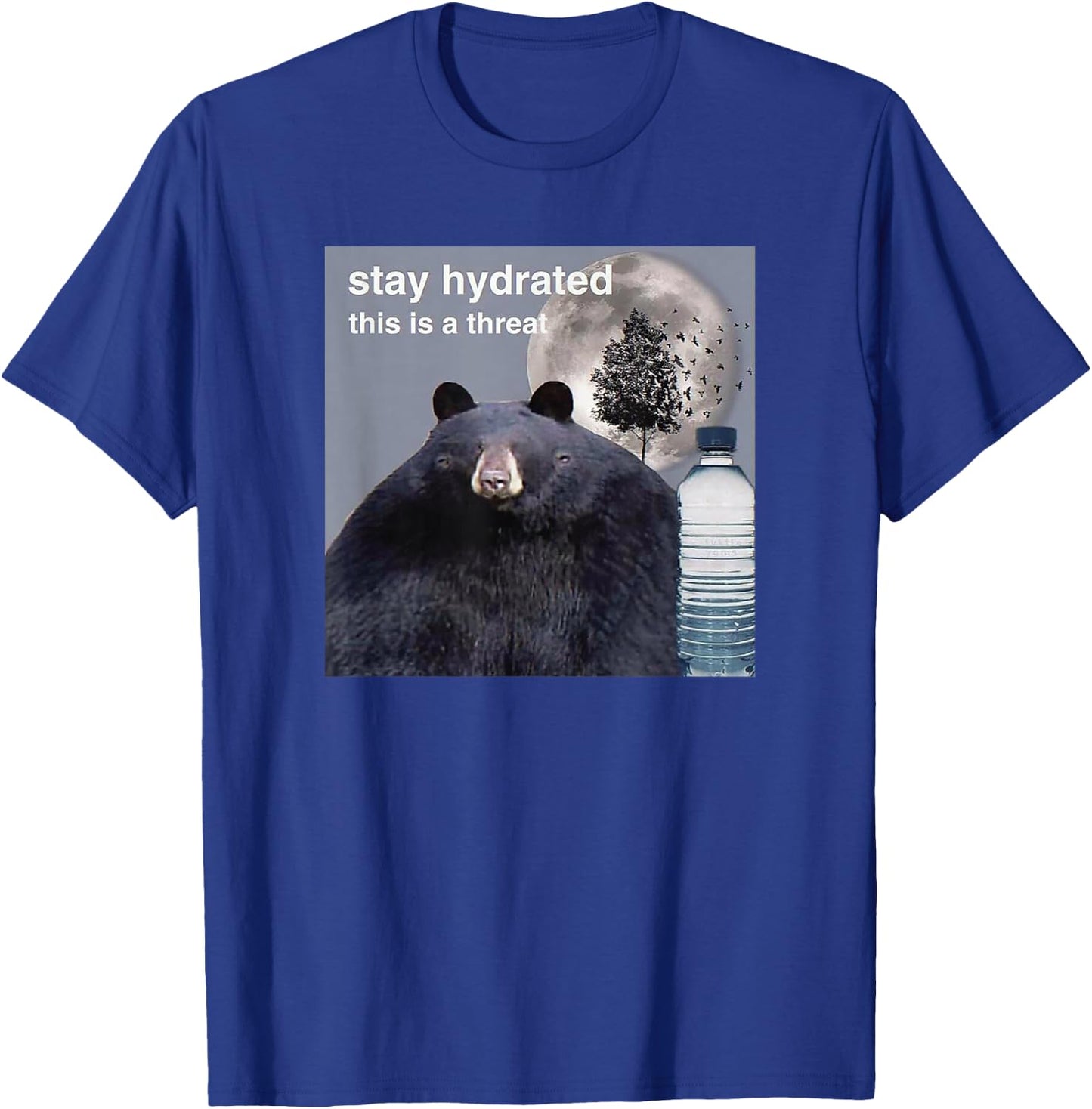 Stay Hydrated This Is A Threat Meme T-Shirt - T-Shirt | Royal