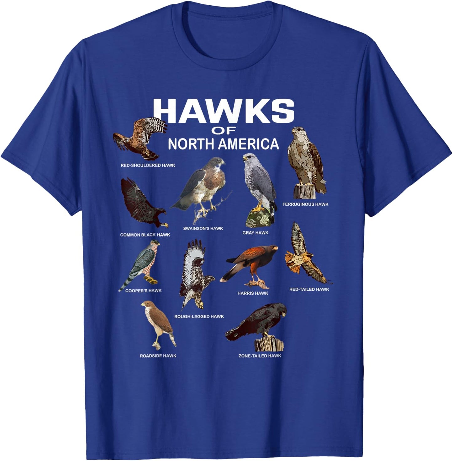 Hawks North America Red-Tailed Roadside Gray Hawk T-Shirt - T-Shirt | Royal