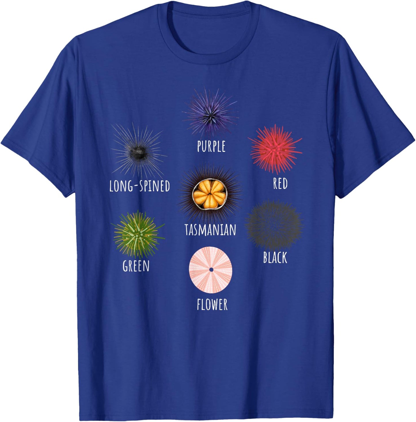 Type Of Sea Urchin Variants Sea Shell Beach Ocean Lovers T-Shirt - T-Shirt | Royal