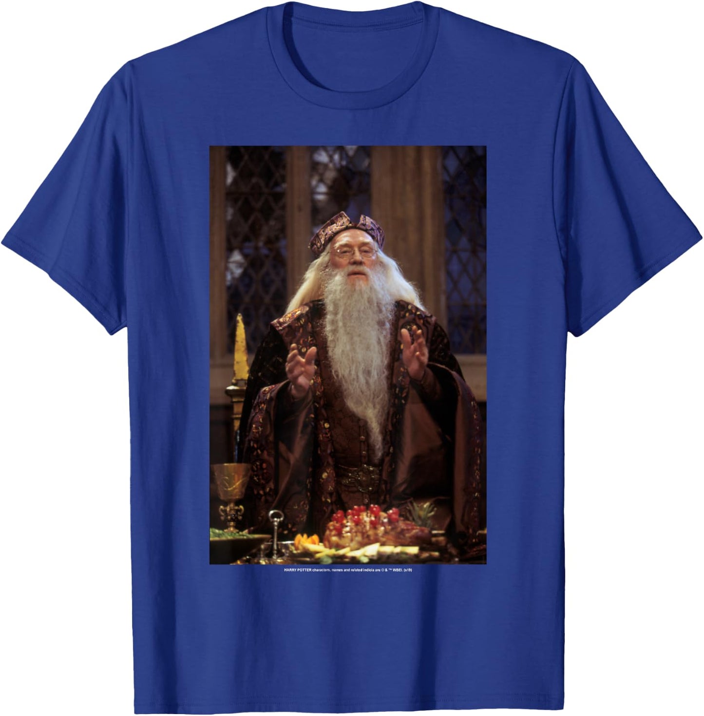 Harry Potter Professor Dumbledore Poster T-Shirt - T-Shirt | Royal