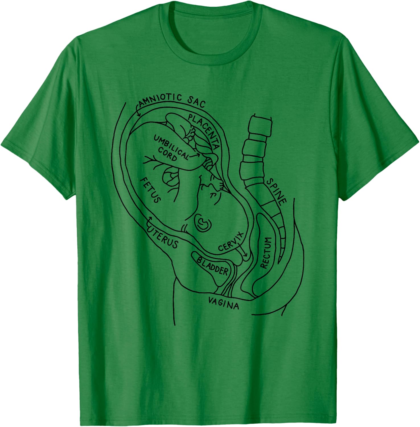 Pregnancy Anatomy Fetus In Utero Midwife OBGYN Nursing Stude T-Shirt - T-Shirt | Irish Green