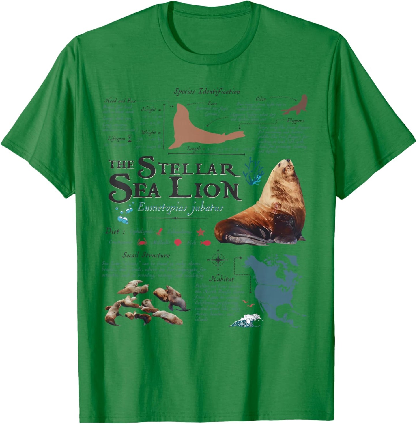 Vintage Stellar Sea Lion Anatomy Retro 90s Marine Biology T-Shirt - T-Shirt | Irish Green