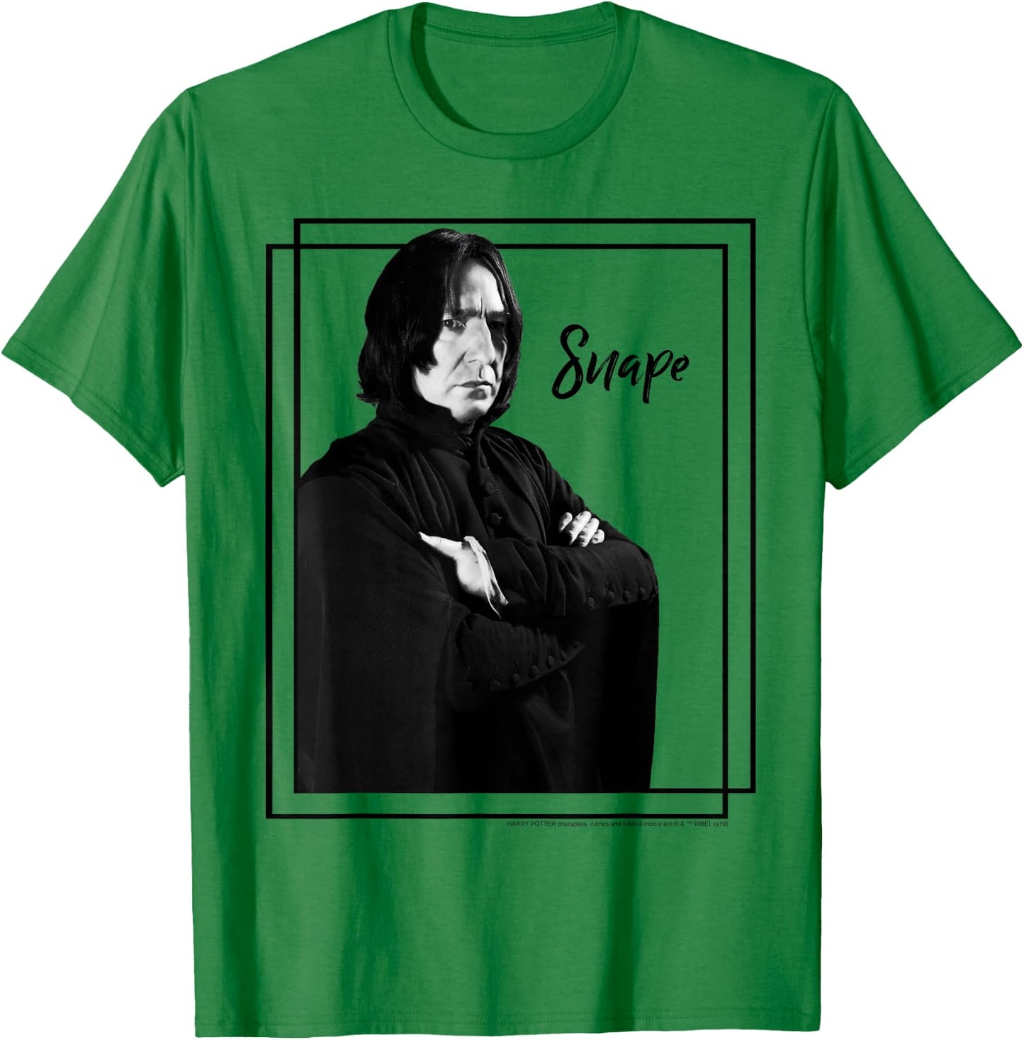 Harry Potter Snape Simple Framed Portrait T-Shirt - T-Shirt | Irish Green