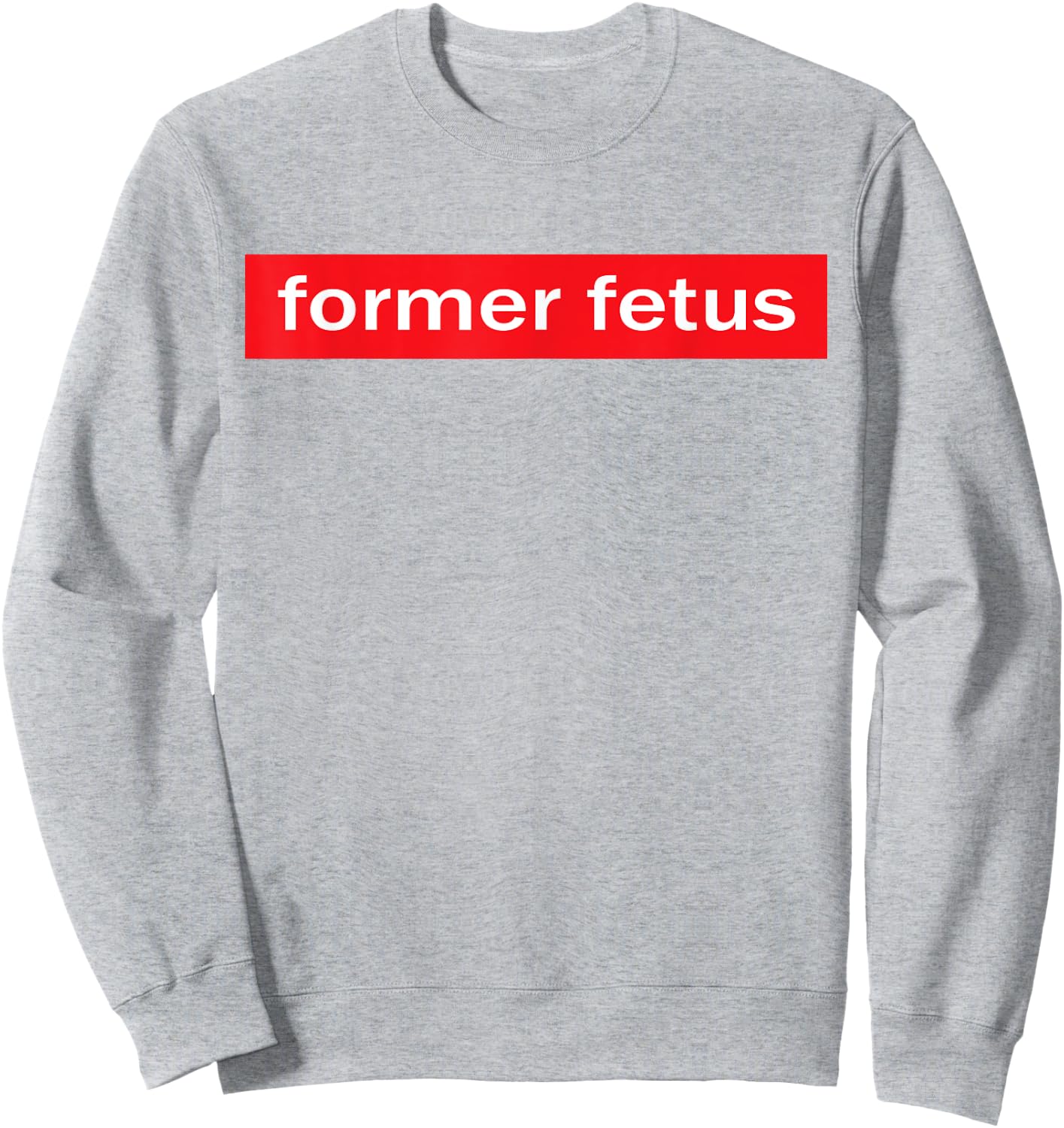 Former Fetus Sweatshirt - Sweatshirt | Ash