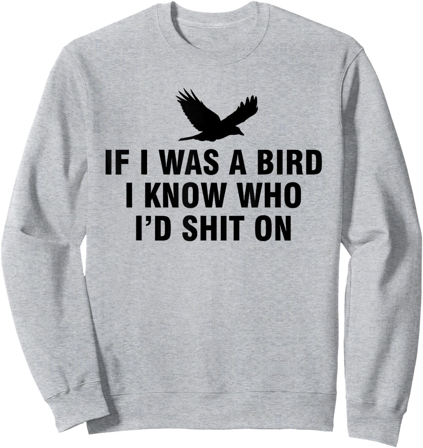If I Was A Bird I Know Who I’d Shit On Sweatshirt - Sweatshirt | Ash