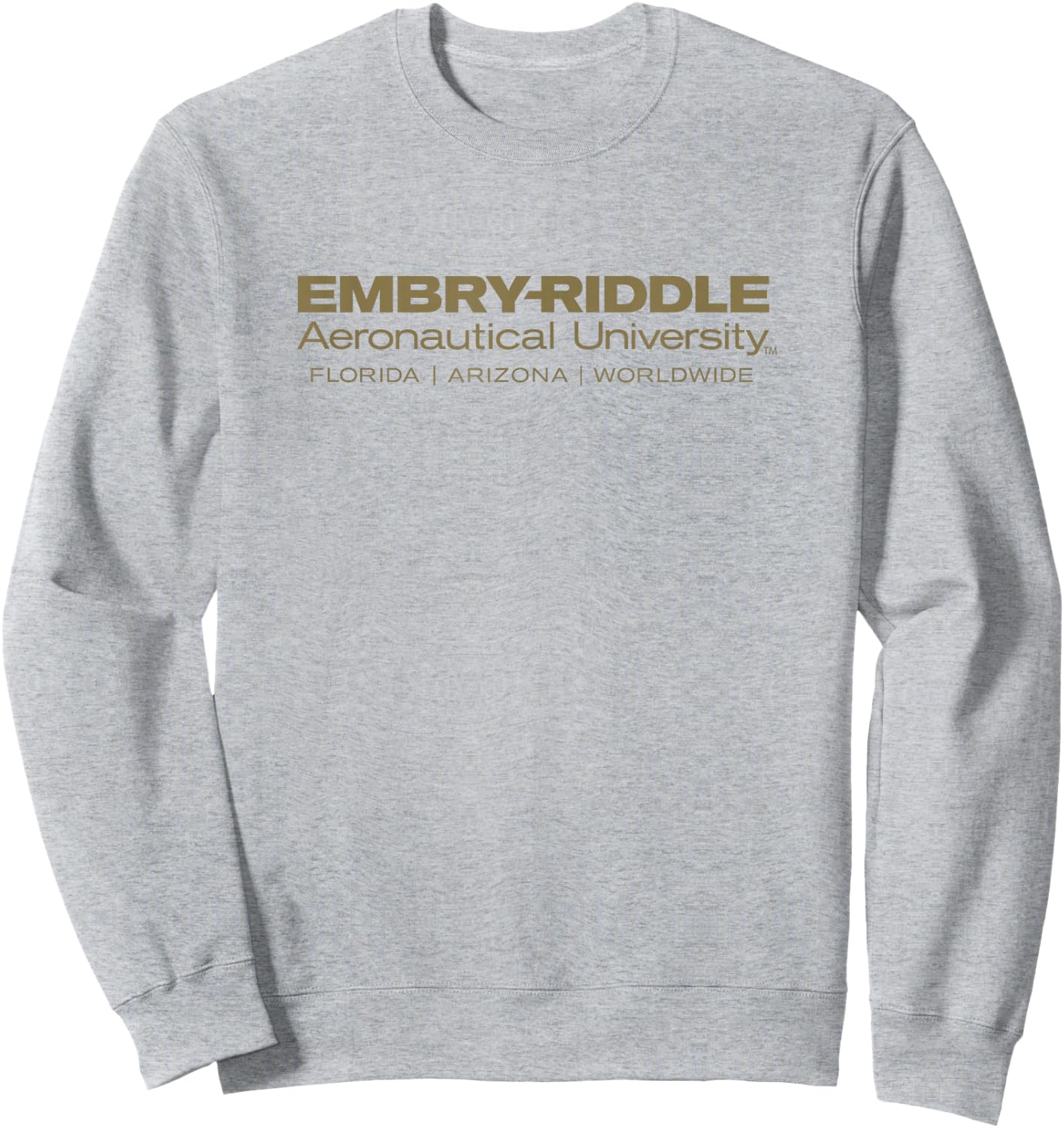Embry Riddle Eagles | Official NCAA Worldwide | PPERAUW03 Sweatshirt - Sweatshirt | Ash