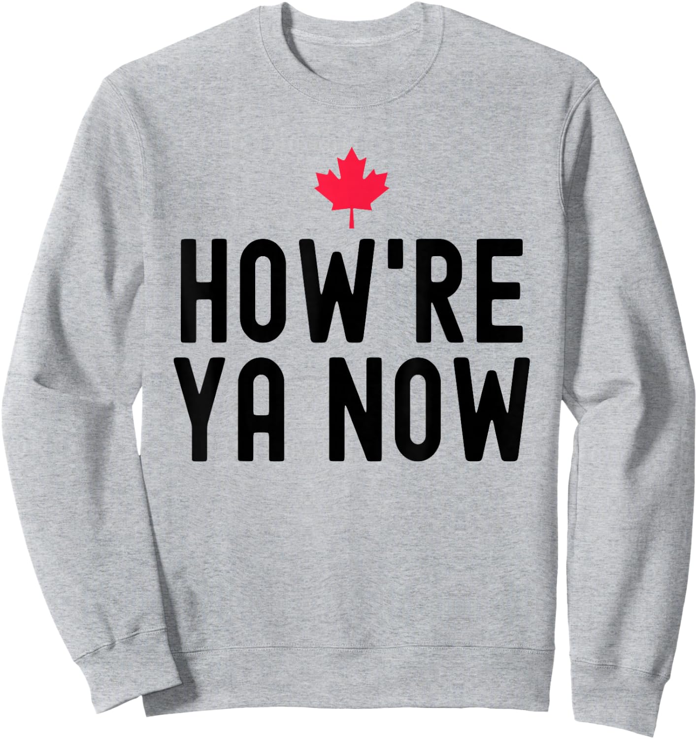 Funny How're Ya Now Shirt - Men's Adults Grey - Modern Humorous - Novelty Hockey - Short Sleeve - Small - Classic Fit - Cotton, Polyester Sweatshirt - Sweatshirt | Ash