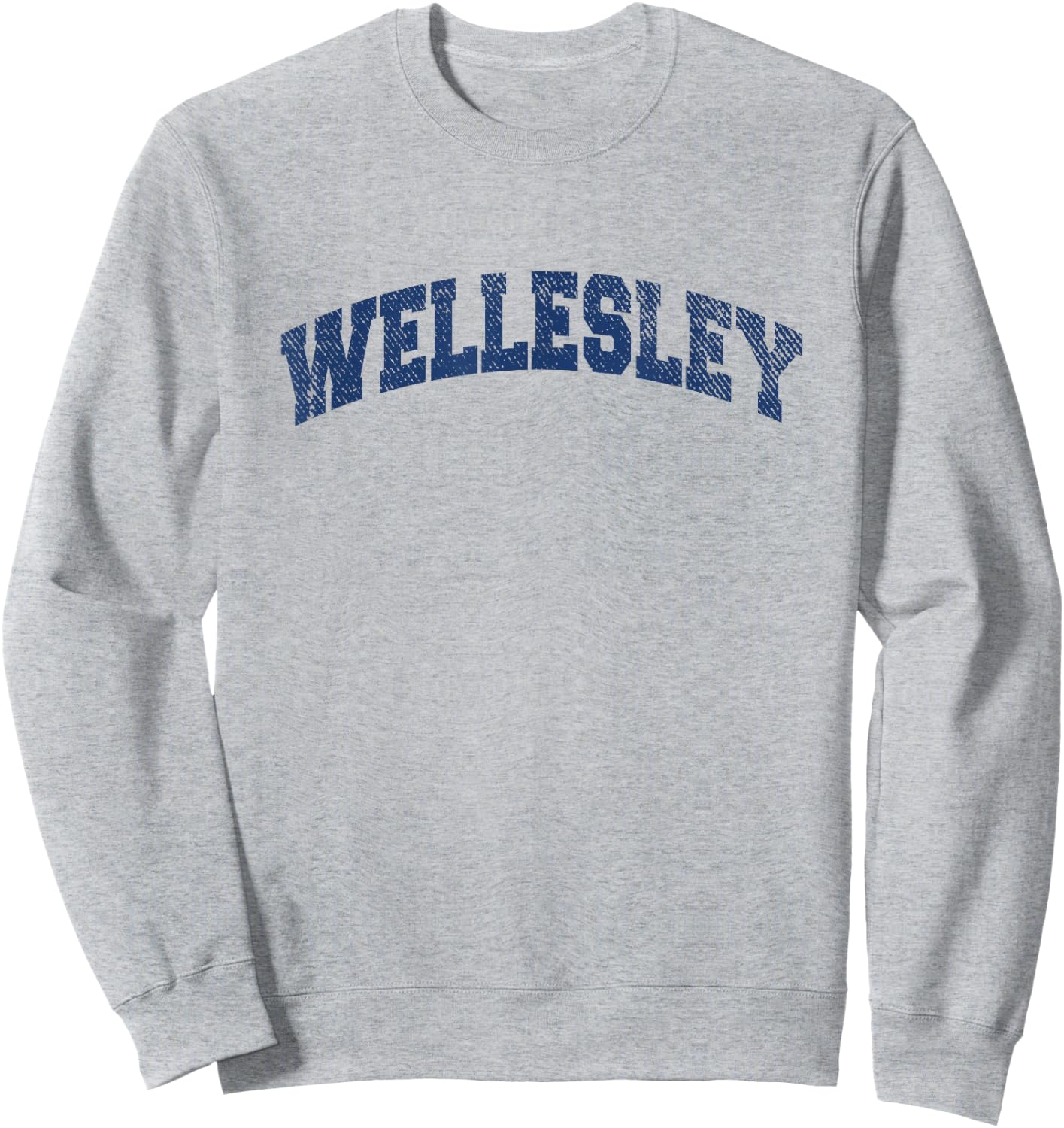 Wellesley Massachusetts Varsity Style Vintage Grey Sweatshirt - Sweatshirt | Ash
