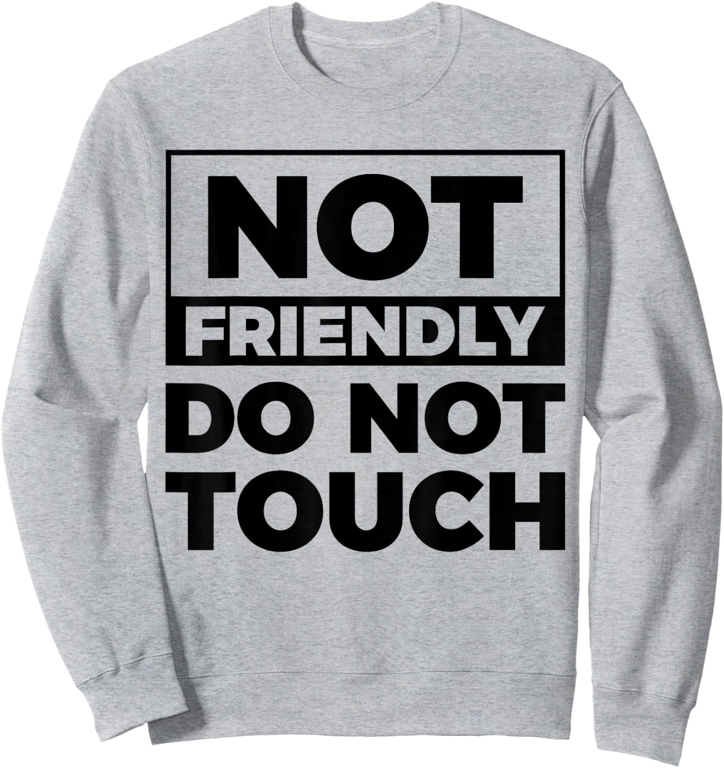 Not Friendly Do Not Touch Sweatshirt - Sweatshirt | Ash