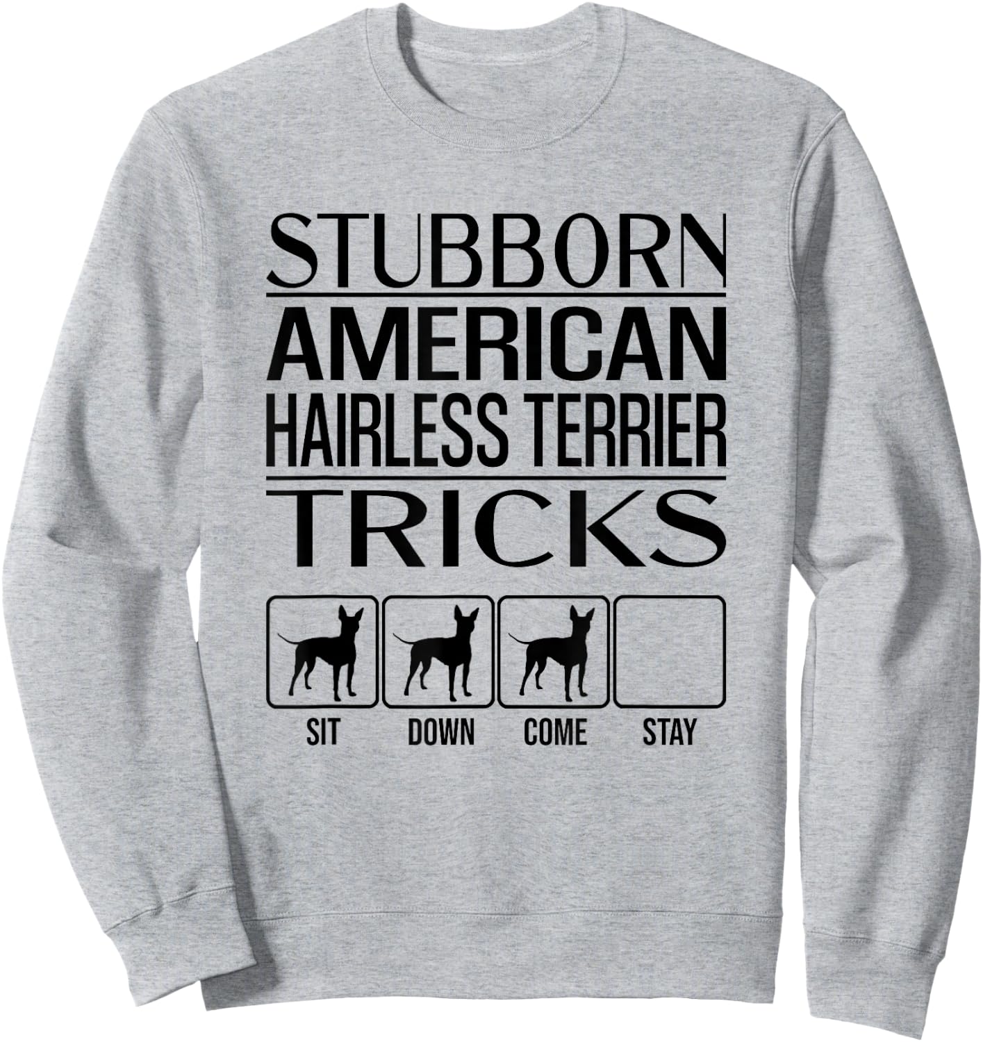 Stubborn Dog Tricks, Funny American Hairless Terrier Men Women Girls Kids Sweatshirt - Sweatshirt | Ash