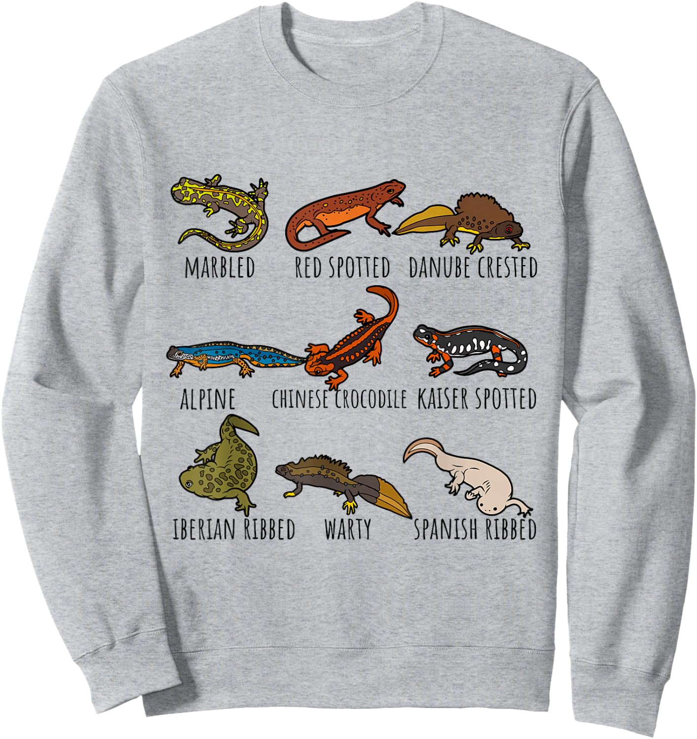 Cute Types Of Newts Salamander Species Chart For Newt Lovers Sweatshirt - Sweatshirt | Ash