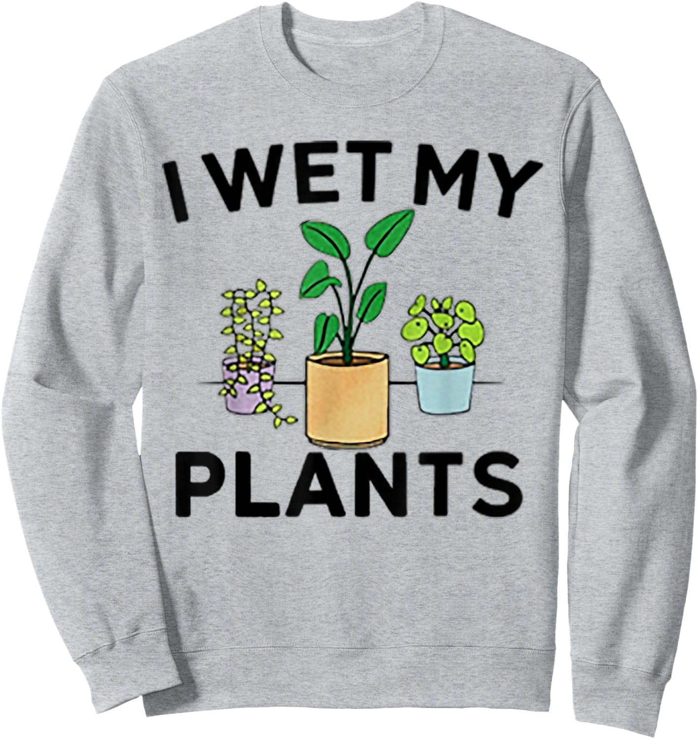 I Wet My Plants Sweatshirt - Sweatshirt | Ash