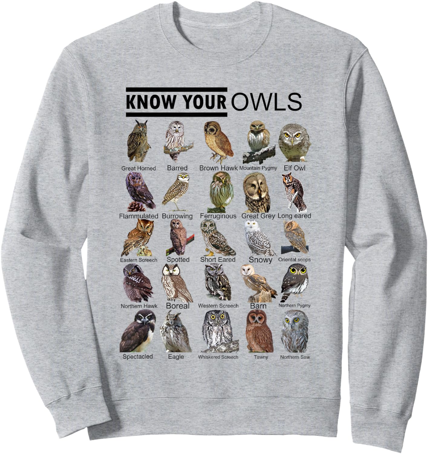 Know Your Owls All Type of Owl Spirit Animal For Owl Lovers Sweatshirt - Sweatshirt | Ash