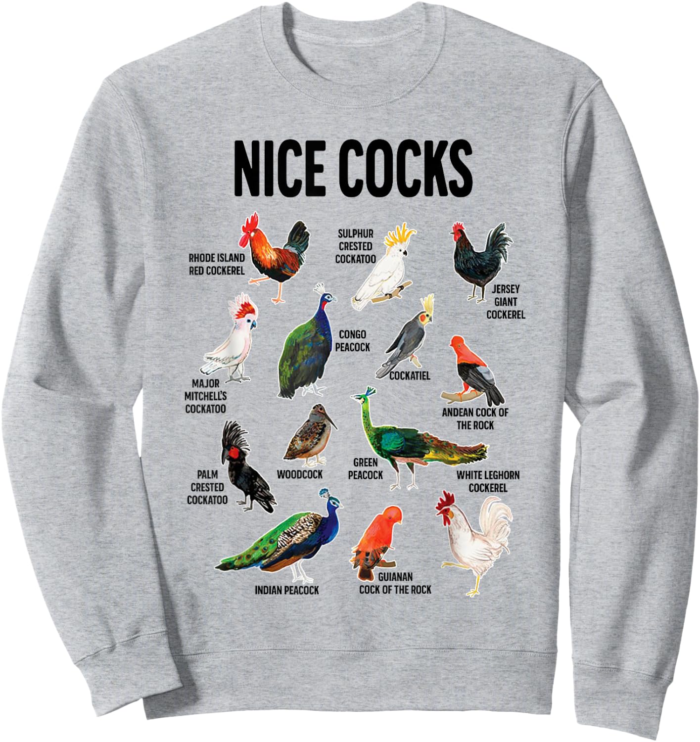 Nice Cocks Pun Adult Joke Funny Bird Lover Birdwatcher Sweatshirt - Sweatshirt | Ash