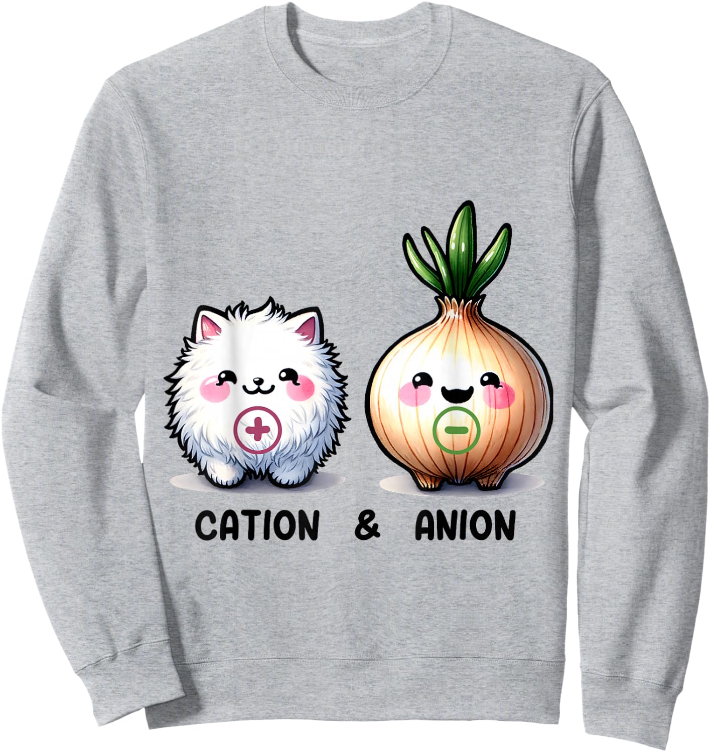 A Ray of Sunshine Funny Cation and Anion Cat and Onion Chemistry Humor Sweatshirt - Sweatshirt | Ash