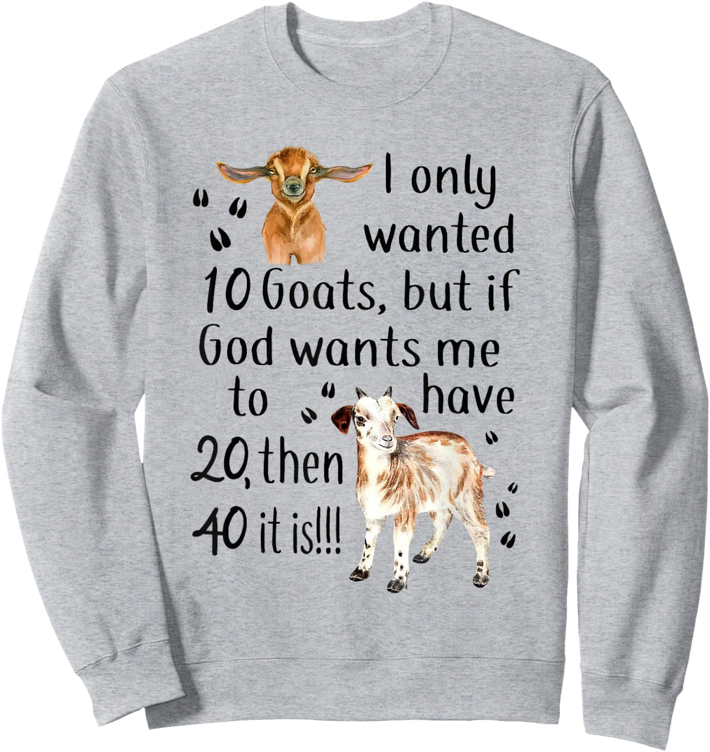 I Only Wanted 10 Goats Funny Goat Lover Farmer Sweatshirt - Sweatshirt | Ash