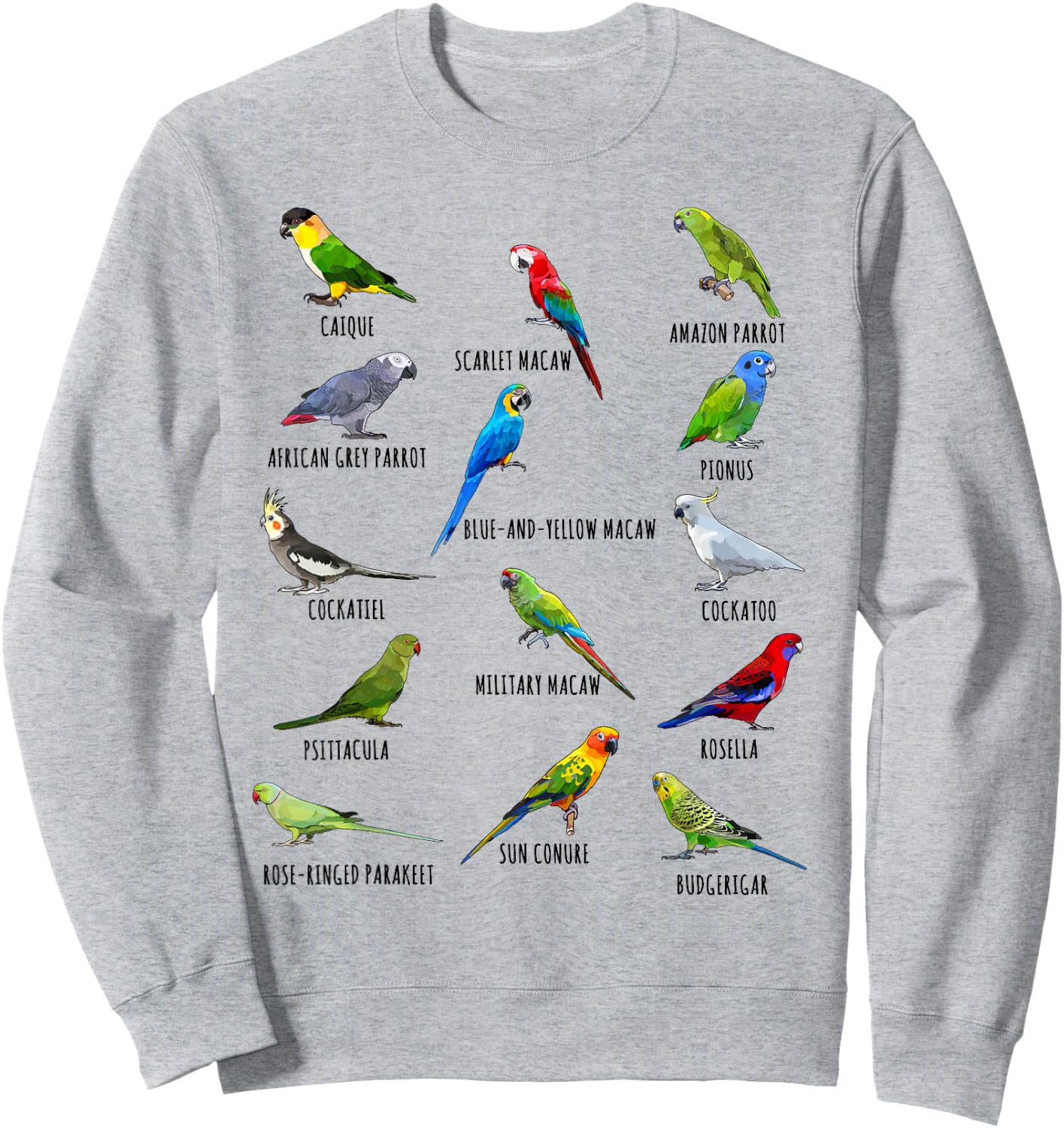 Different Parrot Species Biology Types Bird Identification Sweatshirt - Sweatshirt | Ash