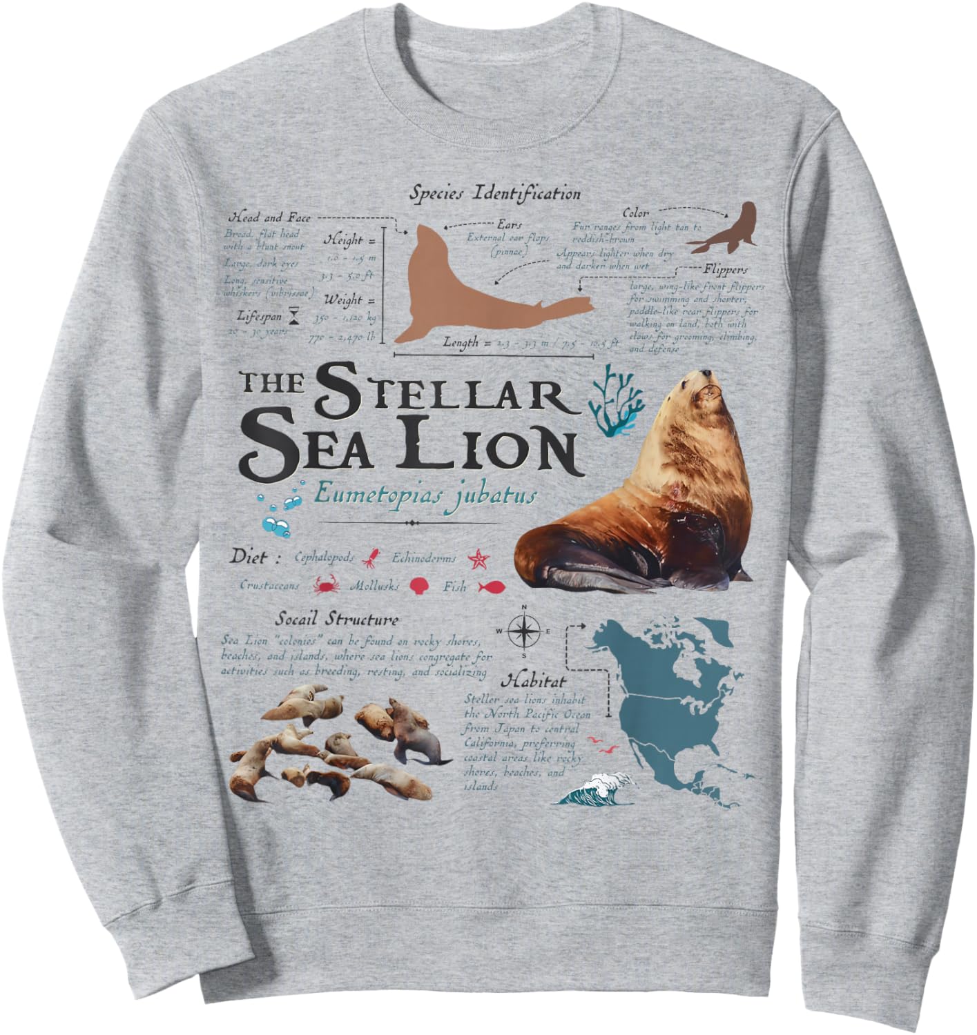 Vintage Stellar Sea Lion Anatomy Retro 90s Marine Biology Sweatshirt - Sweatshirt | Ash