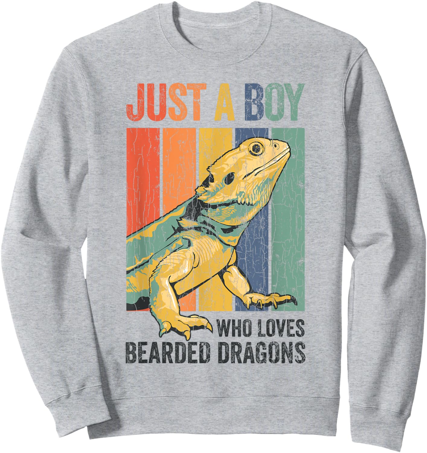 Just A Boy Who Loves Bearded Dragon Shirt Men Boys Sweatshirt - Sweatshirt | Ash