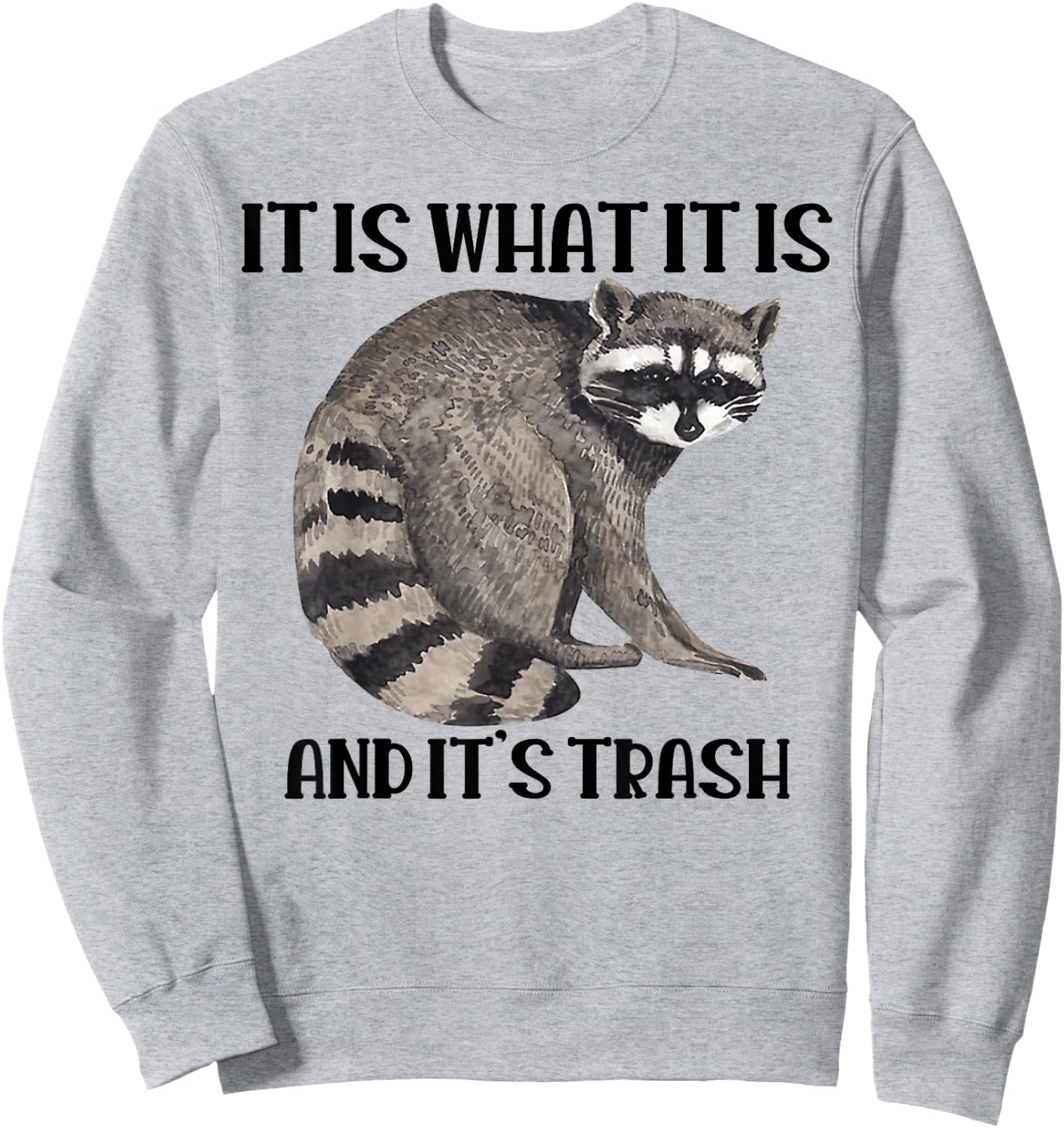 Raccoon It Is What It Is And It's Trash Sweatshirt - Sweatshirt | Ash