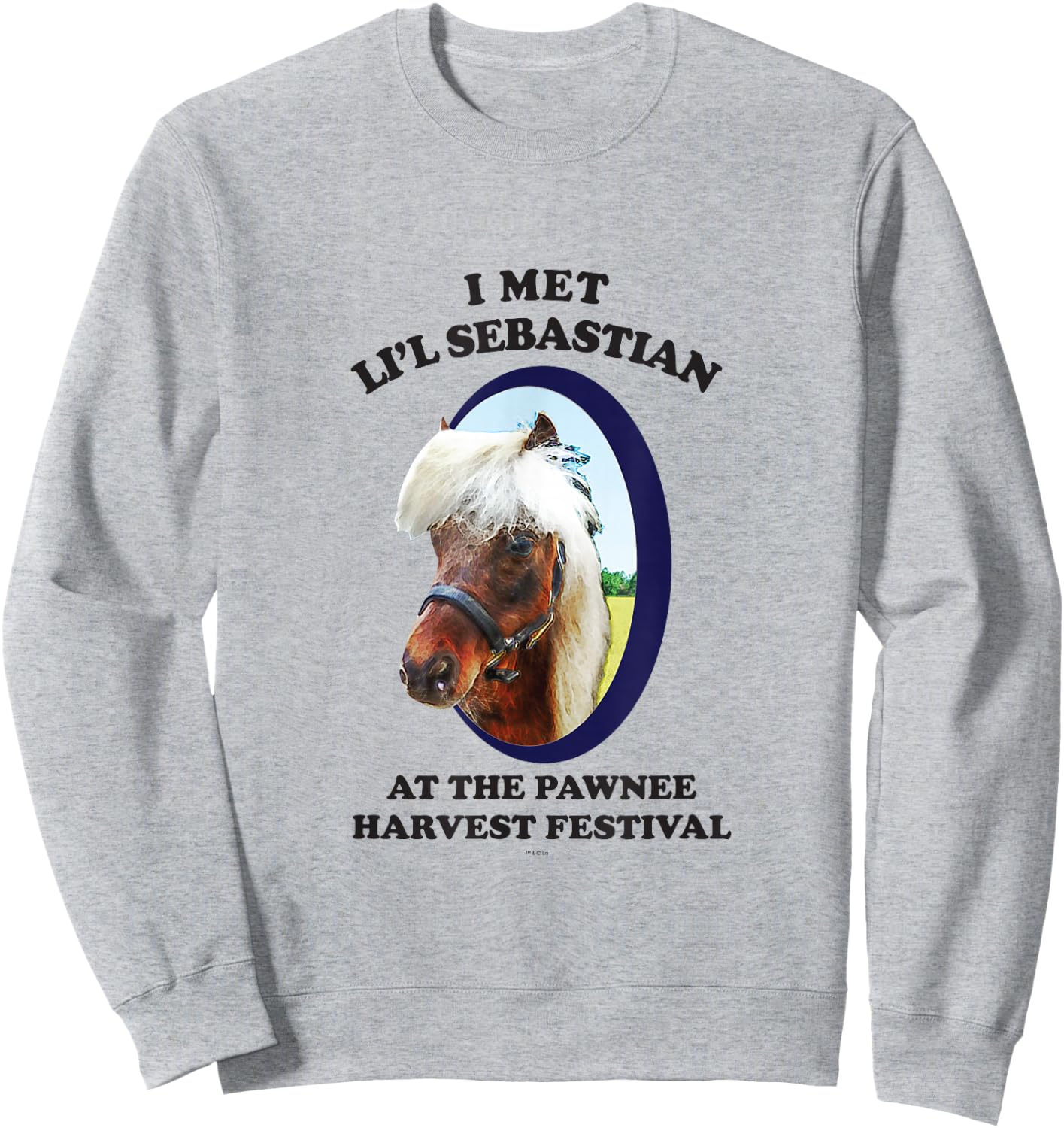 Parks and Recreation Li'l Sebastian Sweatshirt - Sweatshirt | Ash