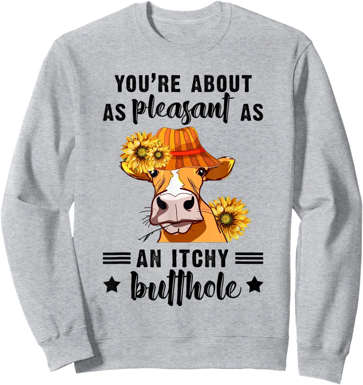 You're About As Pleasant As An Itchy Butthole Sweatshirt - Sweatshirt | Ash
