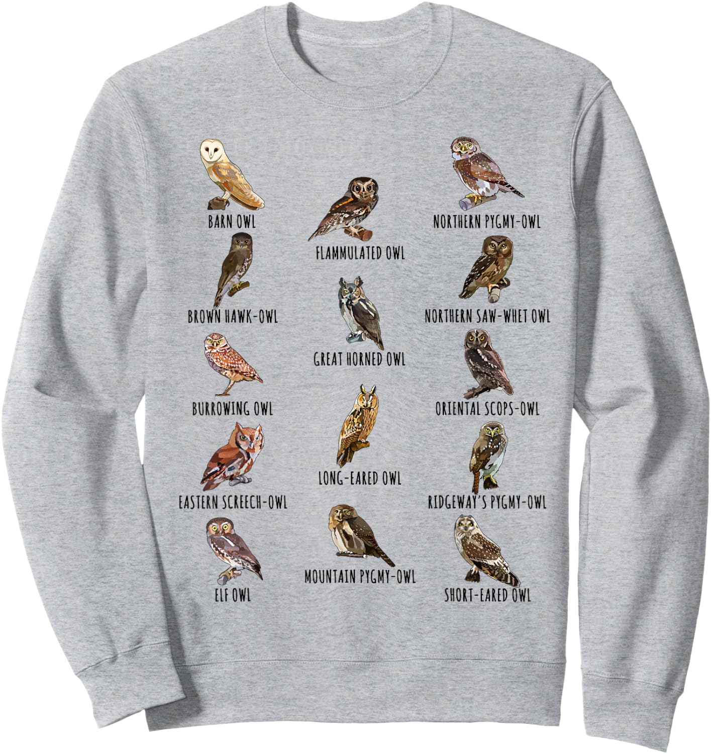 Different Owls Species Biology Types of Owl Identification Sweatshirt - Sweatshirt | Ash