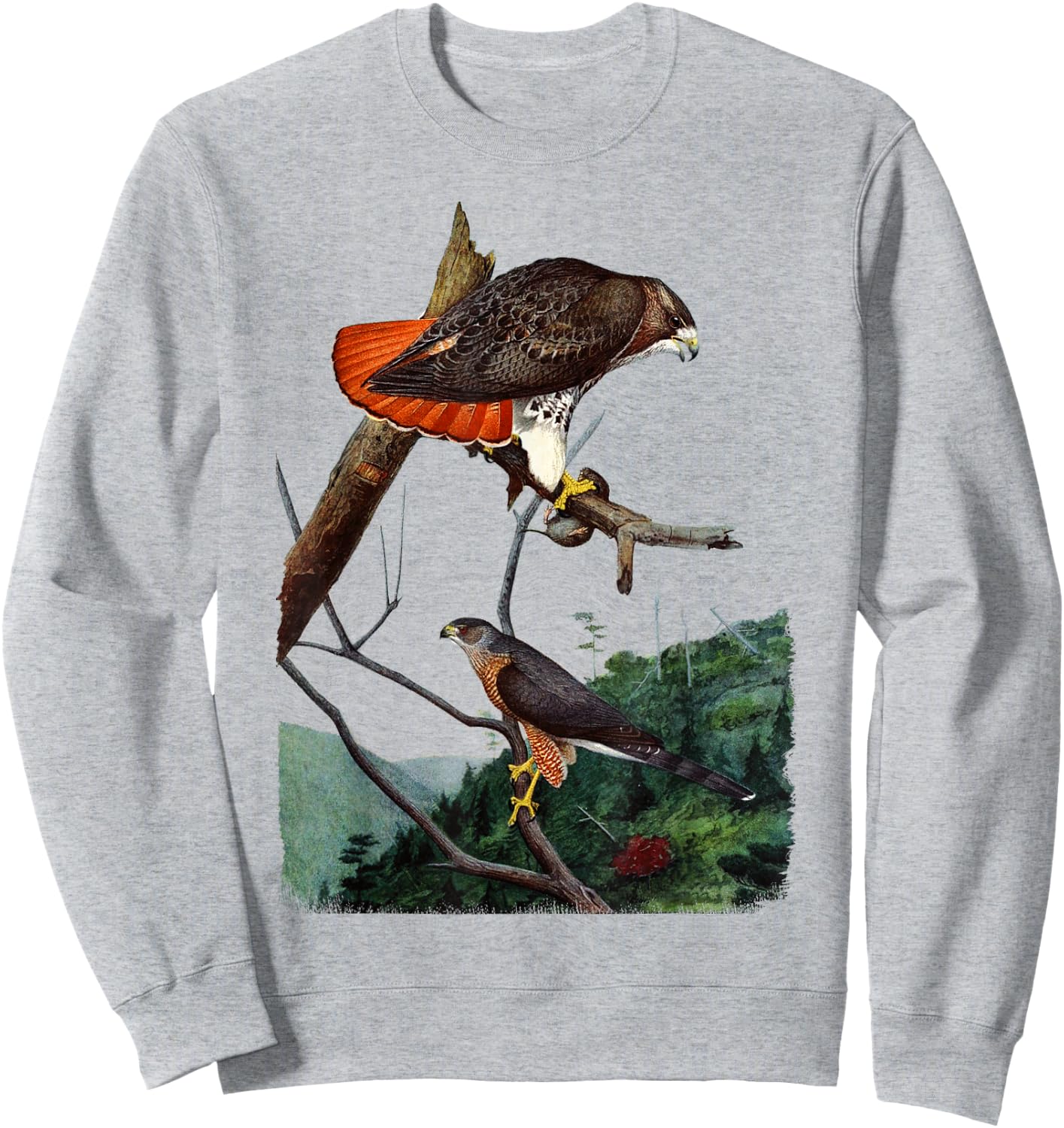 Red Tailed Hawk Red-Tailed Hawk Birder Gift Sweatshirt - Sweatshirt | Ash