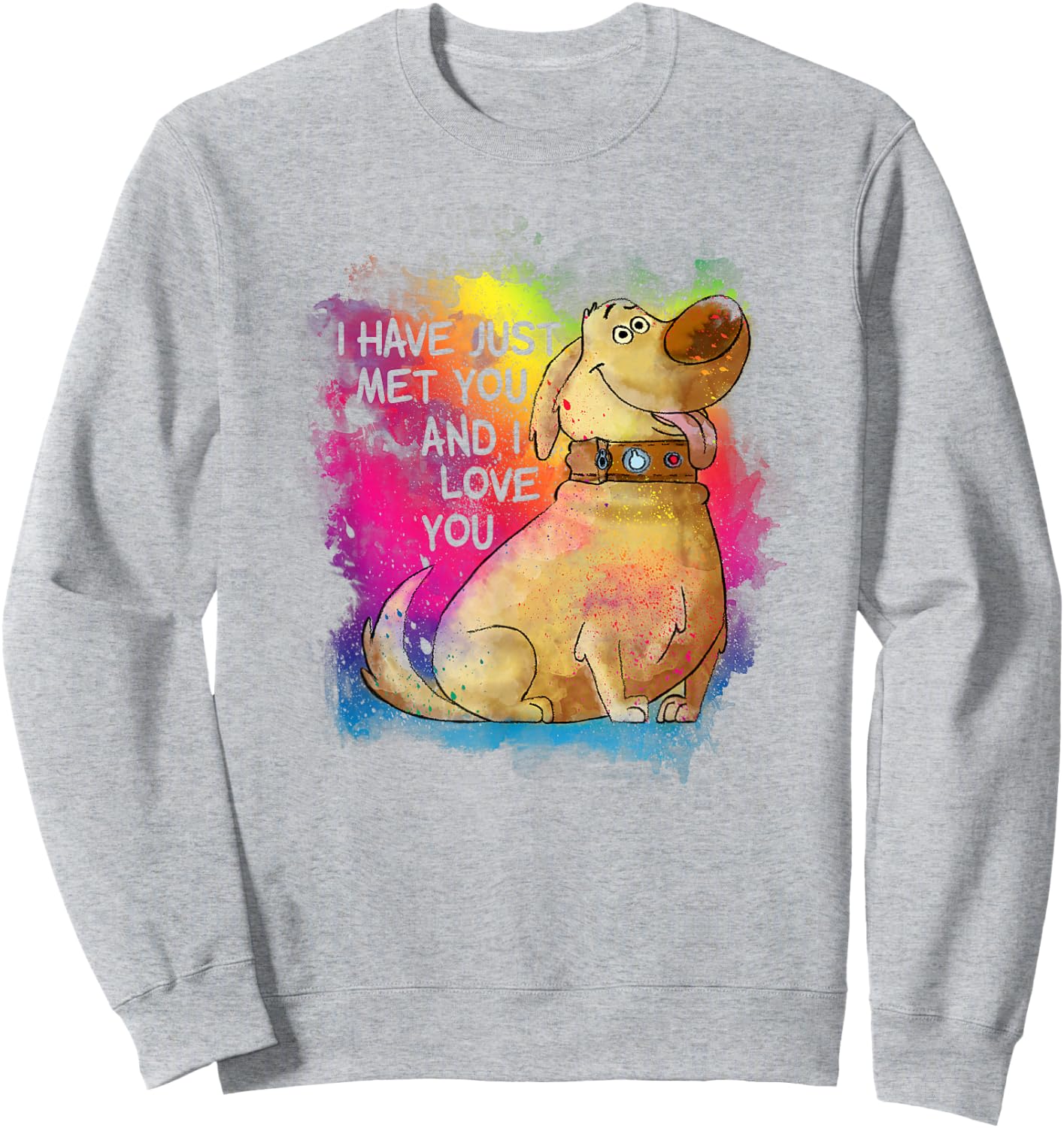 Disney Pixar Up Dug I Have Just Met You Rainbow Sweatshirt - Sweatshirt | Ash