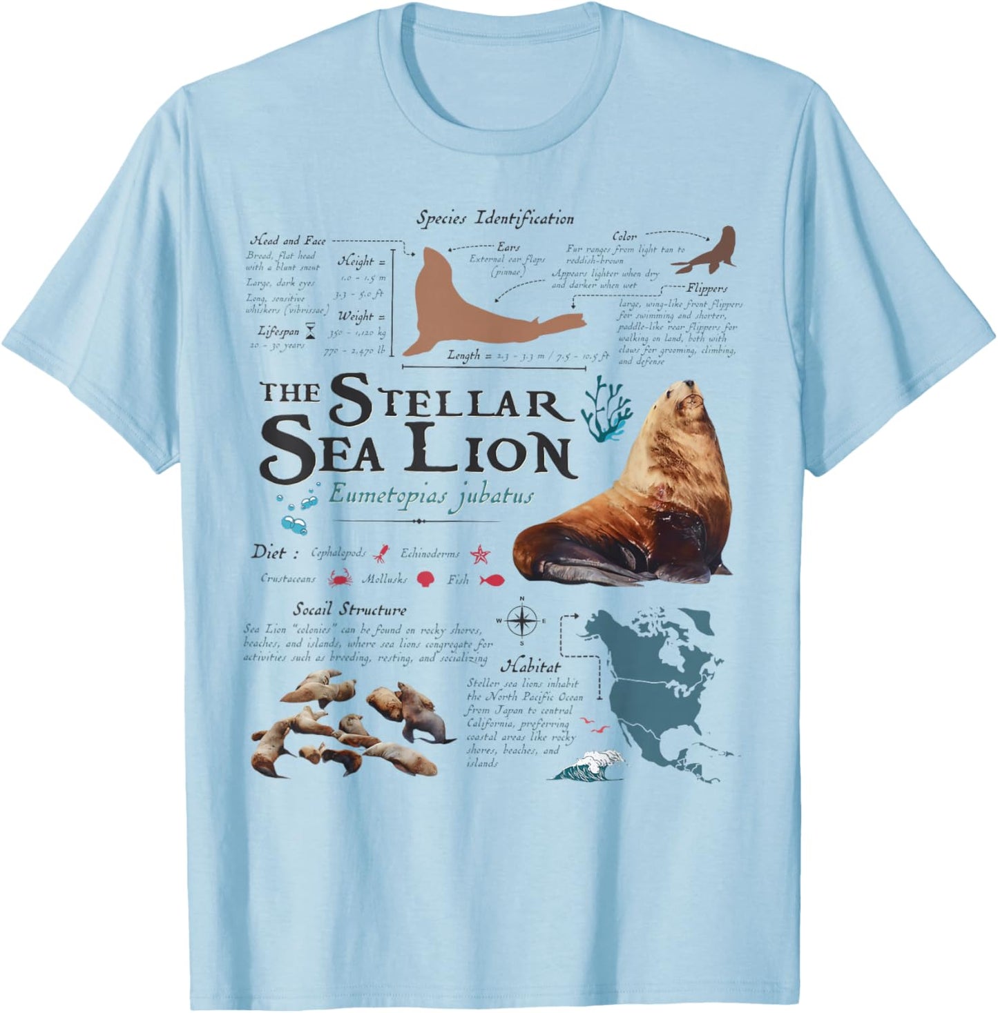 Vintage Stellar Sea Lion Anatomy Retro 90s Marine Biology T-Shirt - T-Shirt | Light Blue