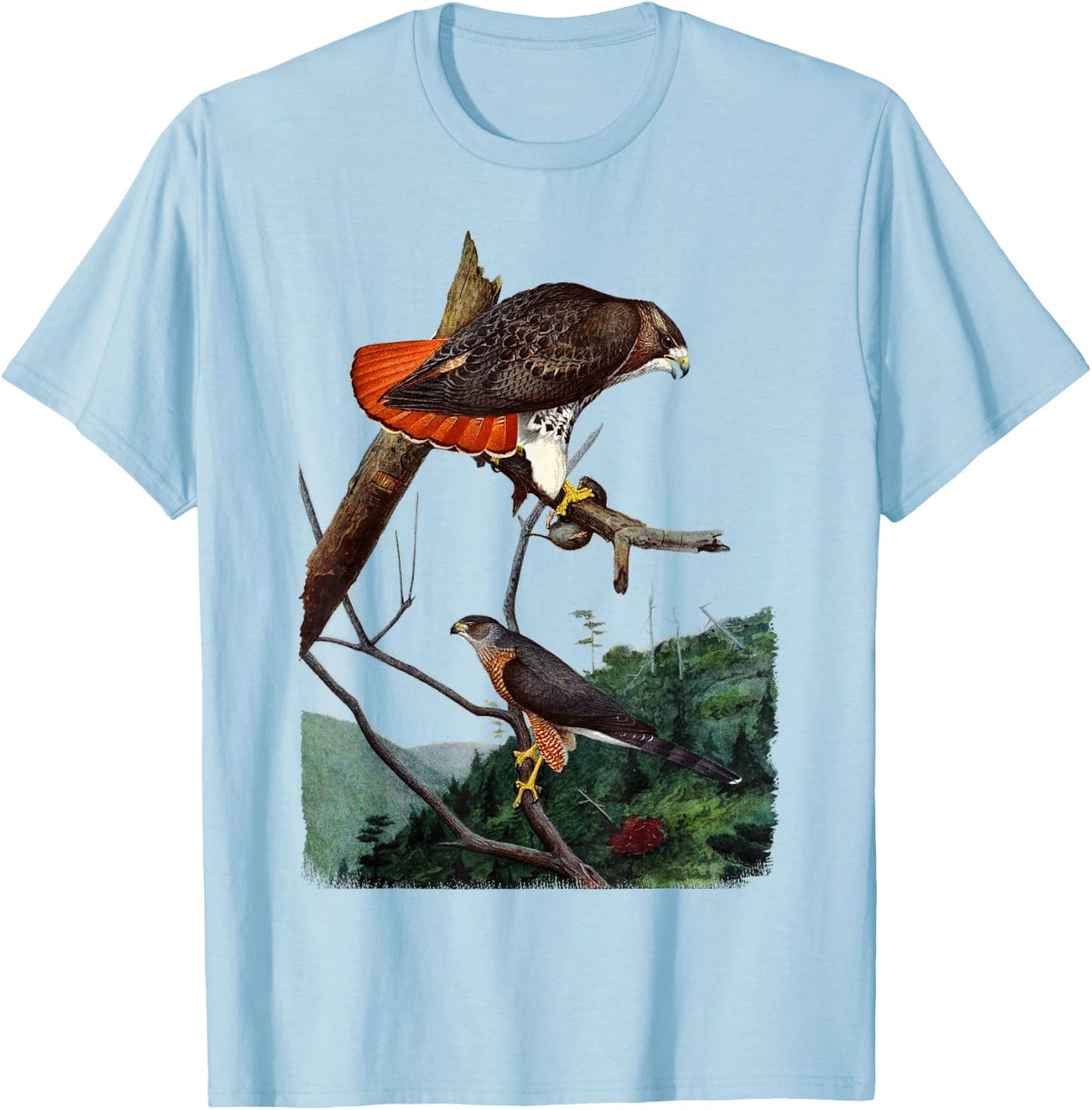Red Tailed Hawk Red-Tailed Hawk Birder Gift T-Shirt - T-Shirt | Light Blue