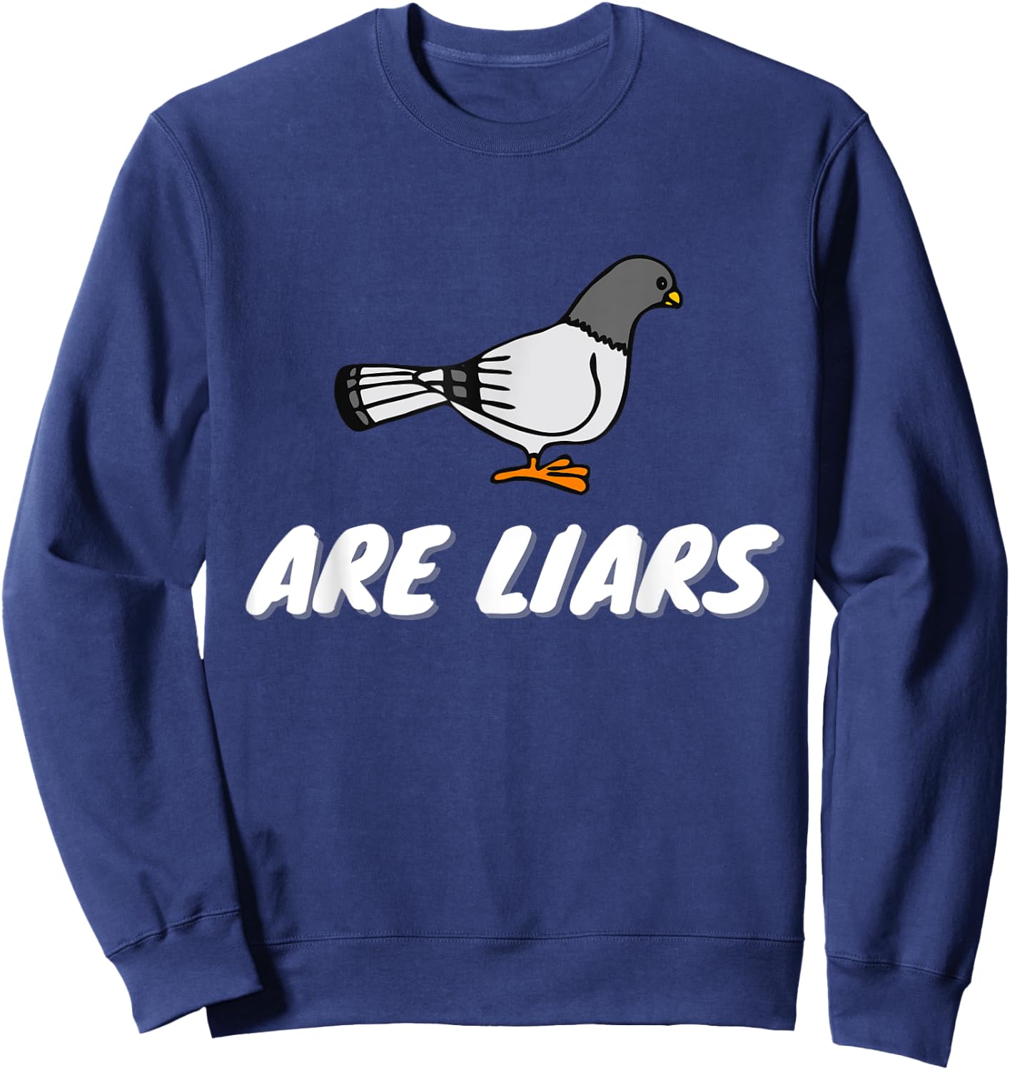 Pigeons Are Liars Bird Aren't Real Spies Gifts Men Women Sweatshirt - Sweatshirt | Navy